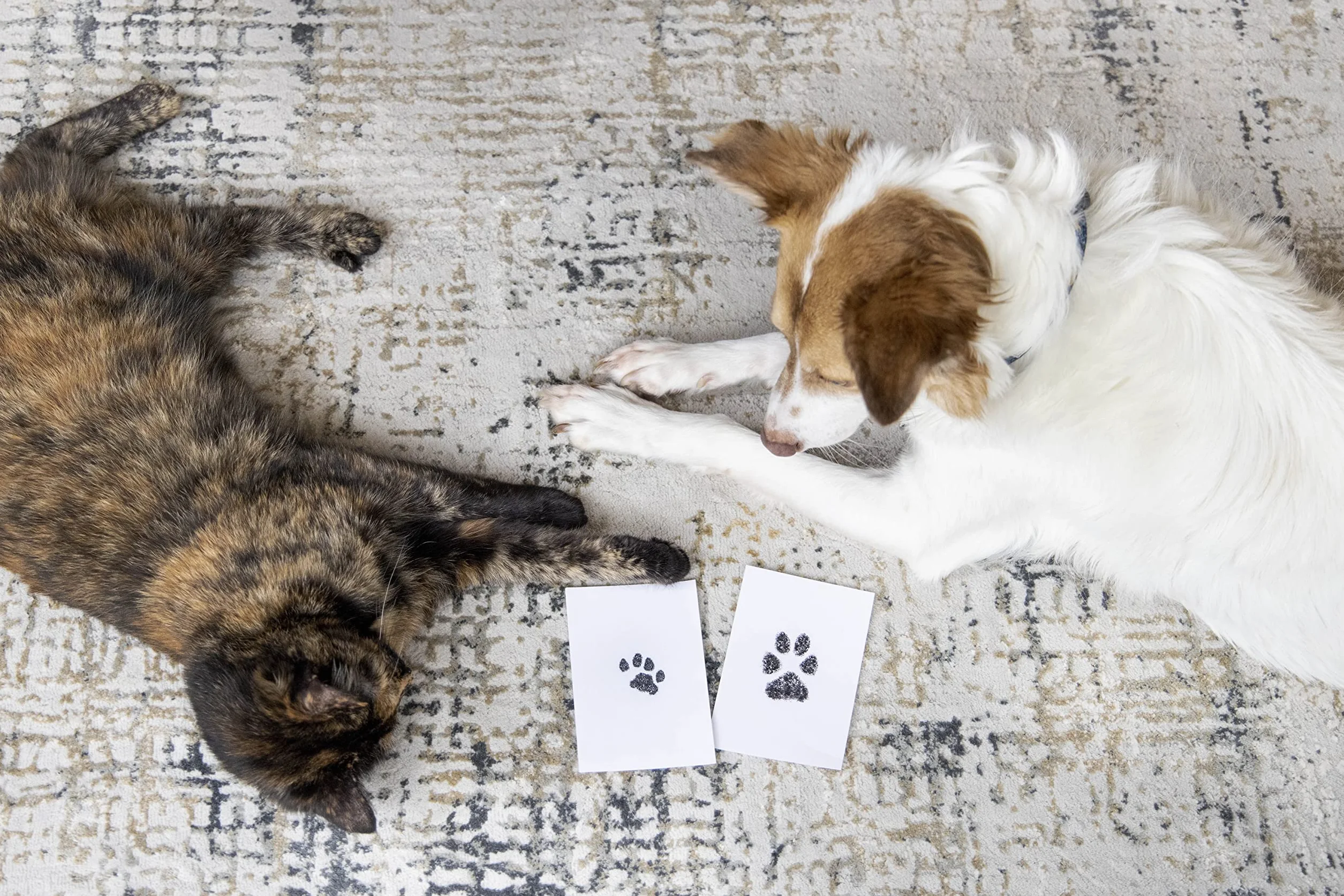 Pearhead Paw Print Clean Touch Ink Pad Kit for Dogs and Cats, Pet Keepsake