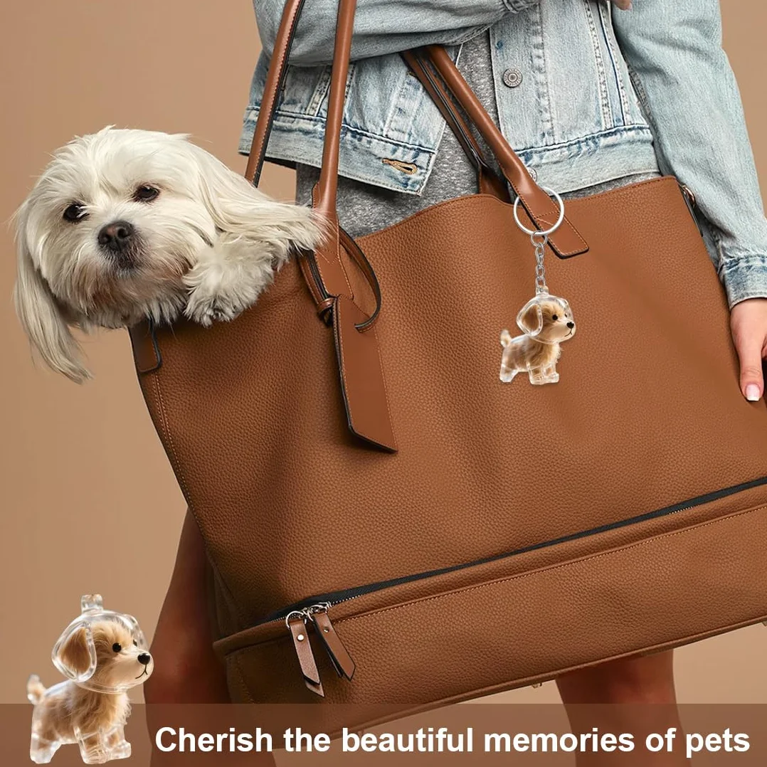 Pendentif commémoratif poils de chien, porte-clés collecteur, bouteille rangement animaux, capsule souvenir fourrure