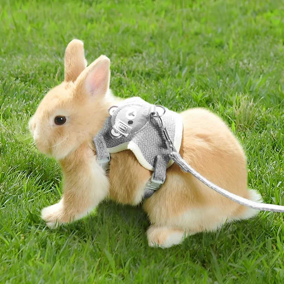 Harnais Lapin Nain, Laisse Réglable, Respirant Gris