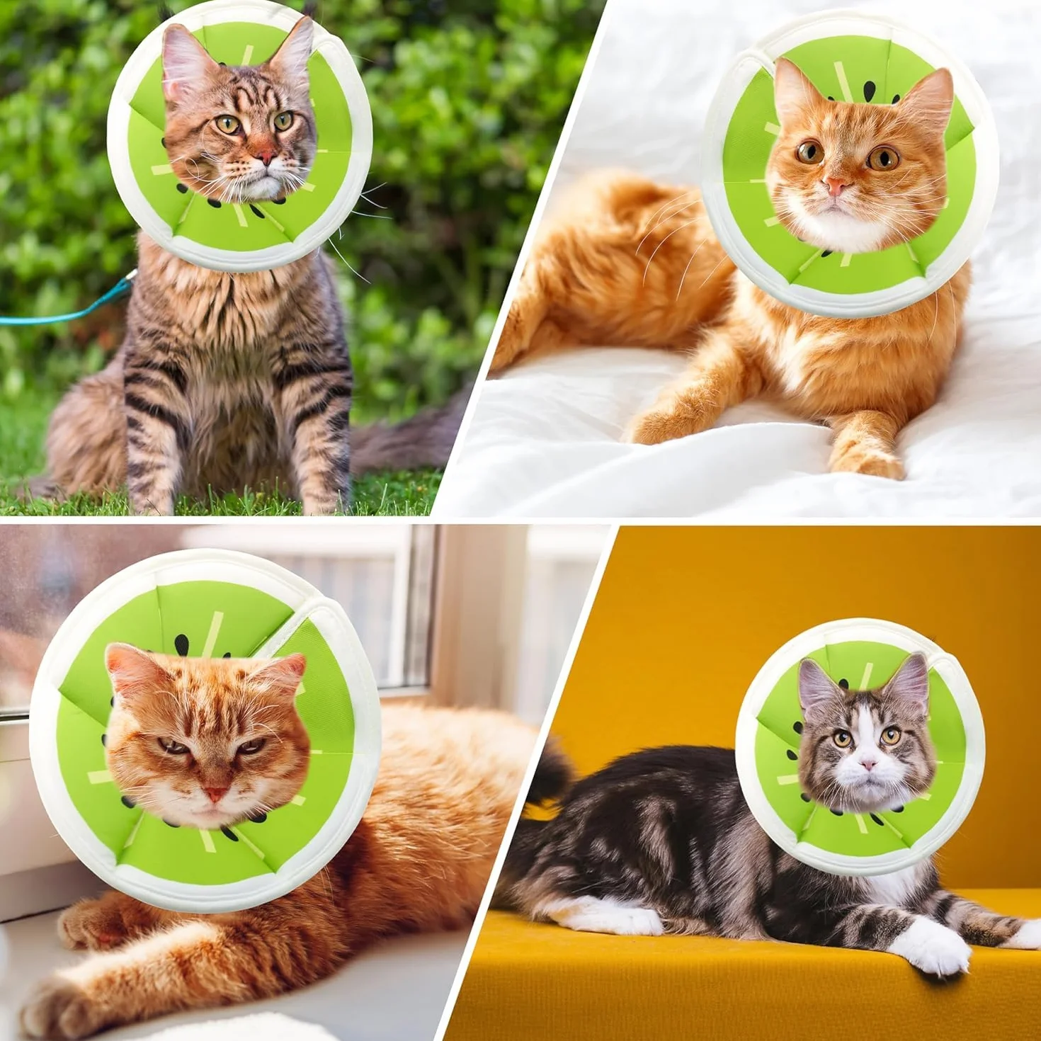 MEISO Collier Anti Léchage Réglable pour Chat, Collier de Protection Récupération après Chirurgie (M)