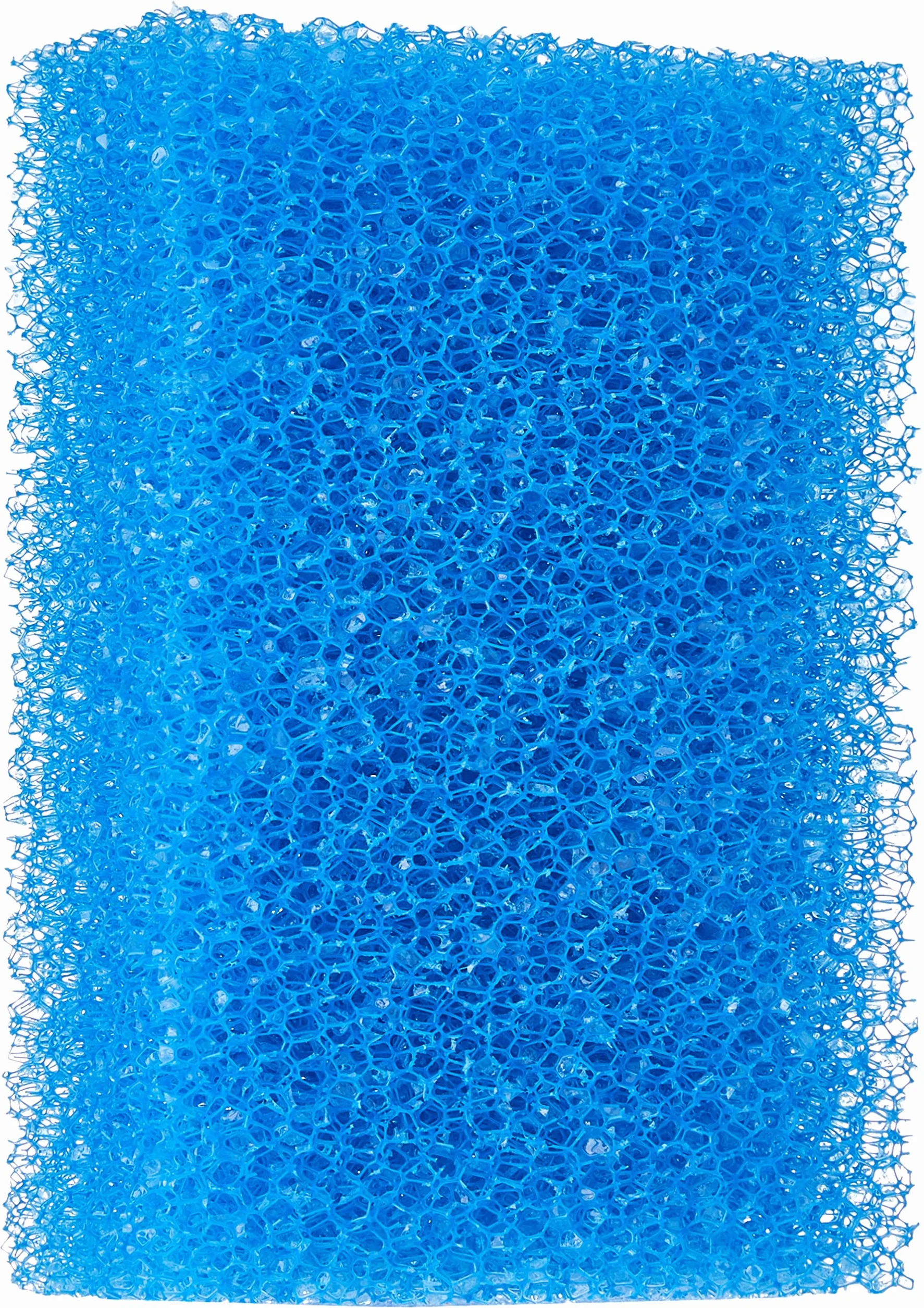 Haquoss Éponge Filtrante 10 Ppi Grain Grosse 5 x 15 x 10 cm Bleu