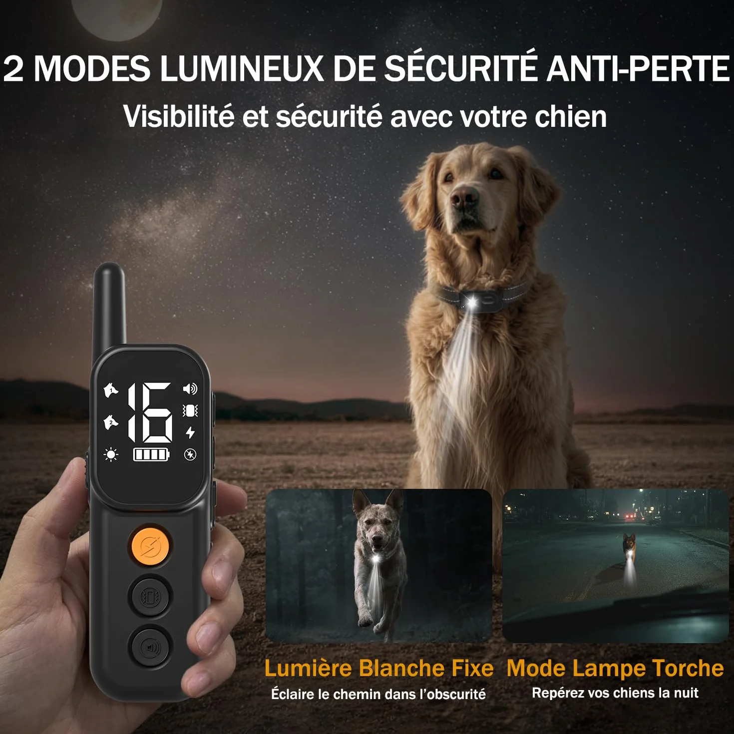 Collier de Dressage pour Chien IP67 1000m Double Canal avec Verrouillage de Sécurité Noir
