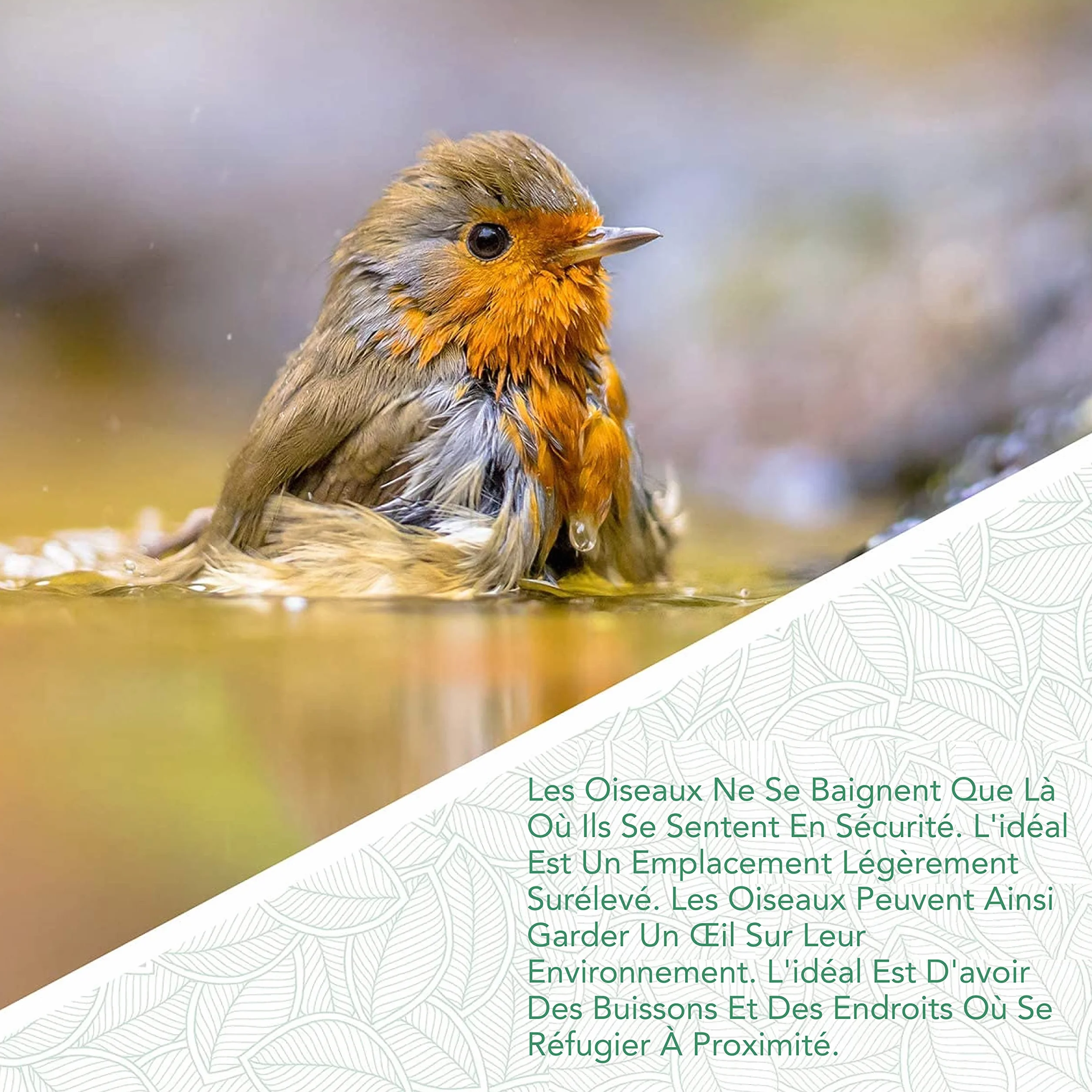 Bain d'oiseaux sur Pied Résistant aux Intempéries Mangeoire Bassin Oiseaux Jaune doré