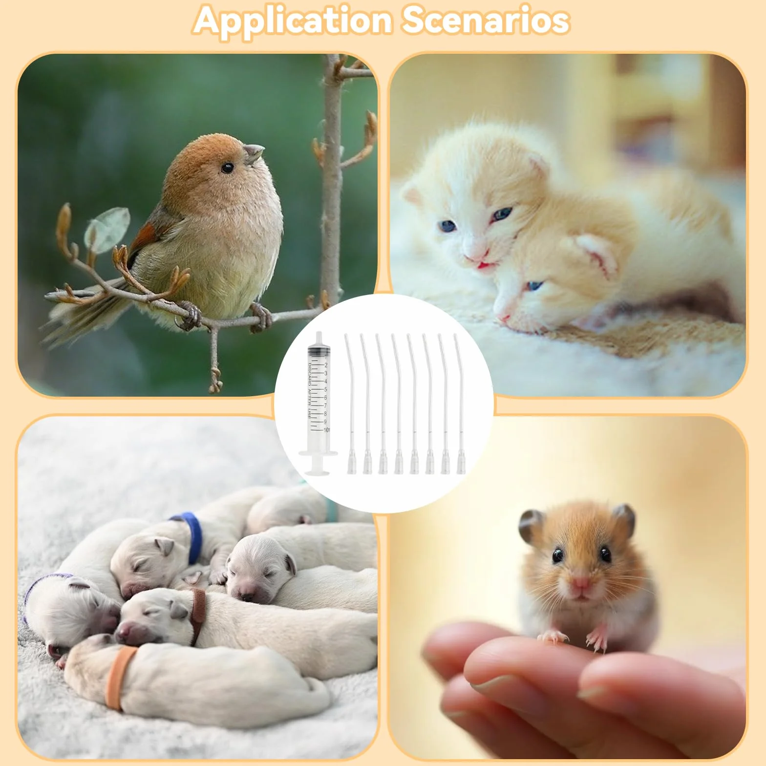 Sondes d'alimentation pour Oisillons avec 2 Seringues 10 ML pour Perroquets et Petits Animaux