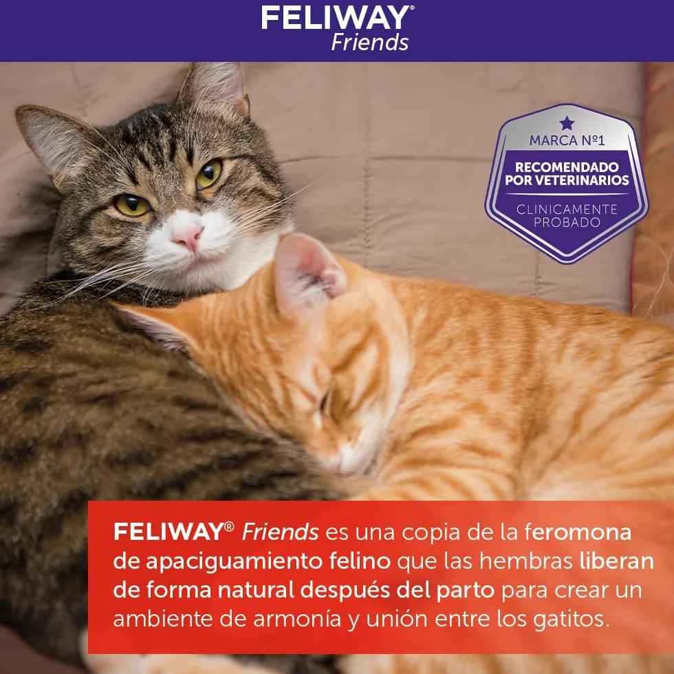 FELIWAY Friends Pack 3 Recharges Réduit Conflits Tensions Bagarres Chats Scientifiquement Prouvé 3x30 Jours