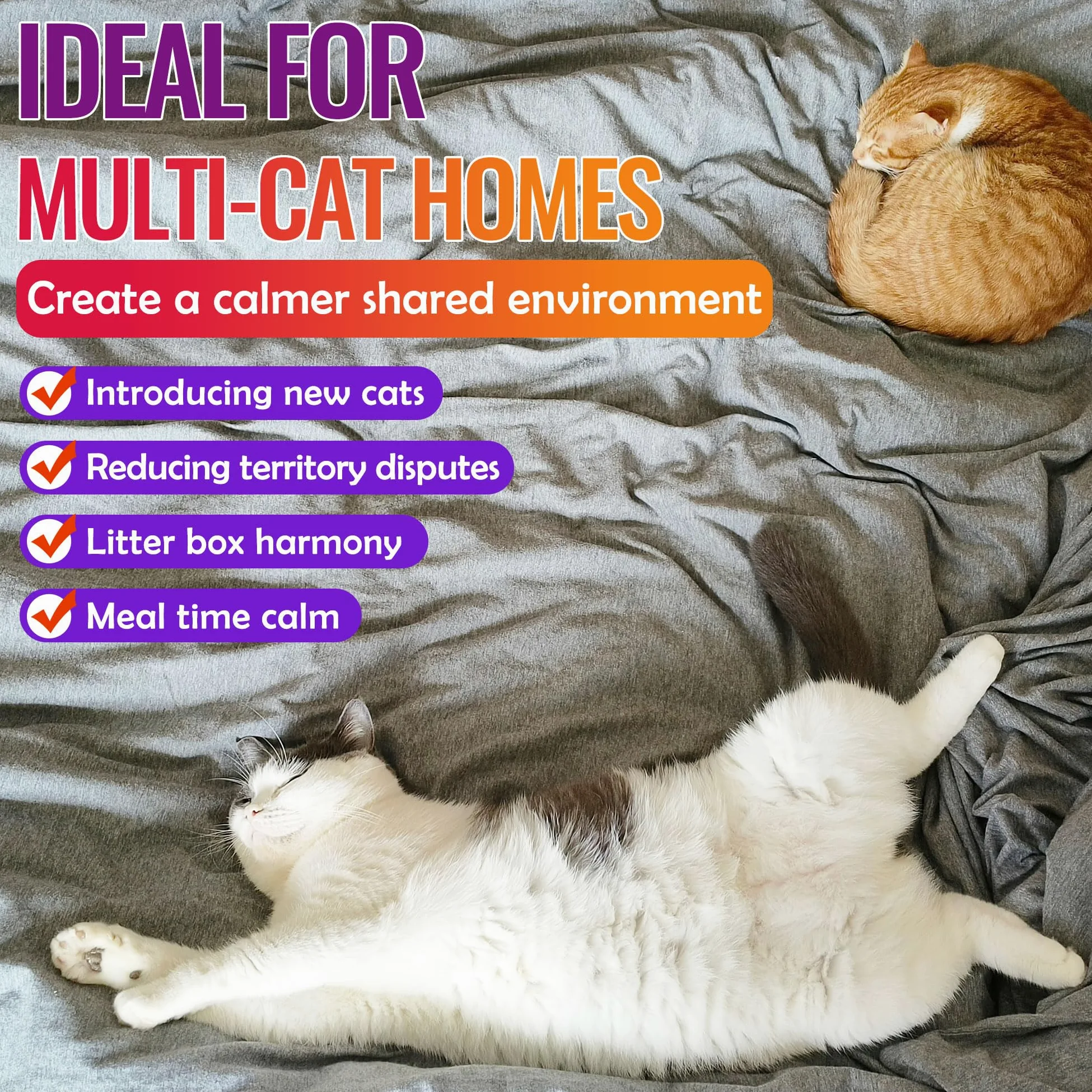 Petstoral Diffuseur de phéromones pour chat avec minuterie, programme intelligent de 4/8/12/24 heures, aide à réduire l'anxiété, la pulvérisation d'urine, les rayures et l'agression pour les maisons