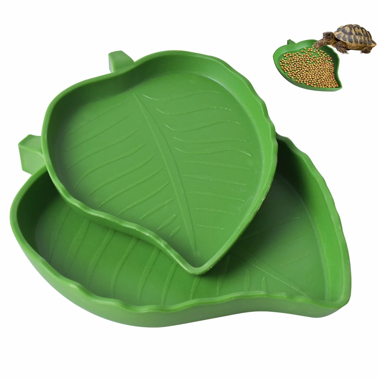 Bol d'Eau et de Nourriture en Forme de Feuille pour Reptiles, Accessoire Tortue Terrestre, Abreuvoir Plat