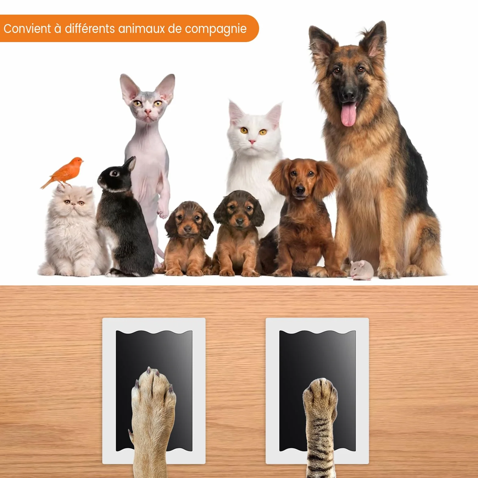 Kit Empreinte Bébé Pieds et Mains 4pcs avec Boîte Cadeau