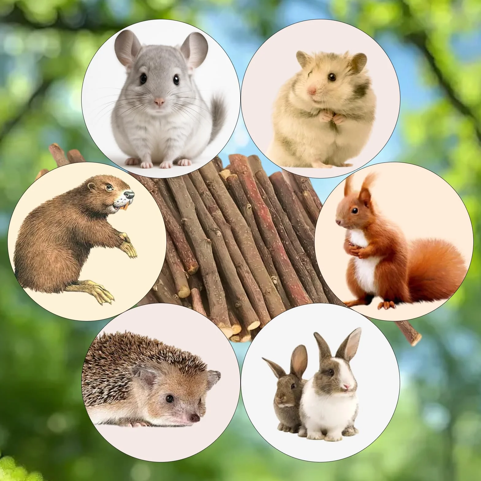 Baton de Pommier Naturelle 500g Jouet Dentition pour Lapin Hamster Cochon d'Inde Chinchilla