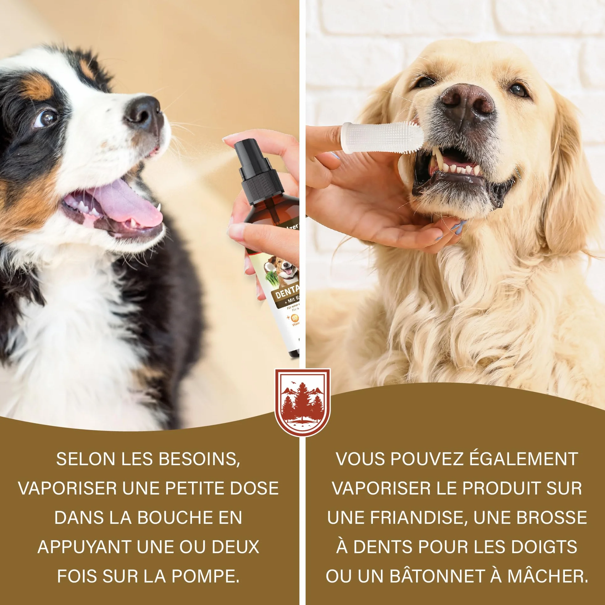Veddelholzer Spray Dentaire probiotique pour Chiens et Chats 150 ML avec Brosse à Dents des Doigts et Complexe enzymatique