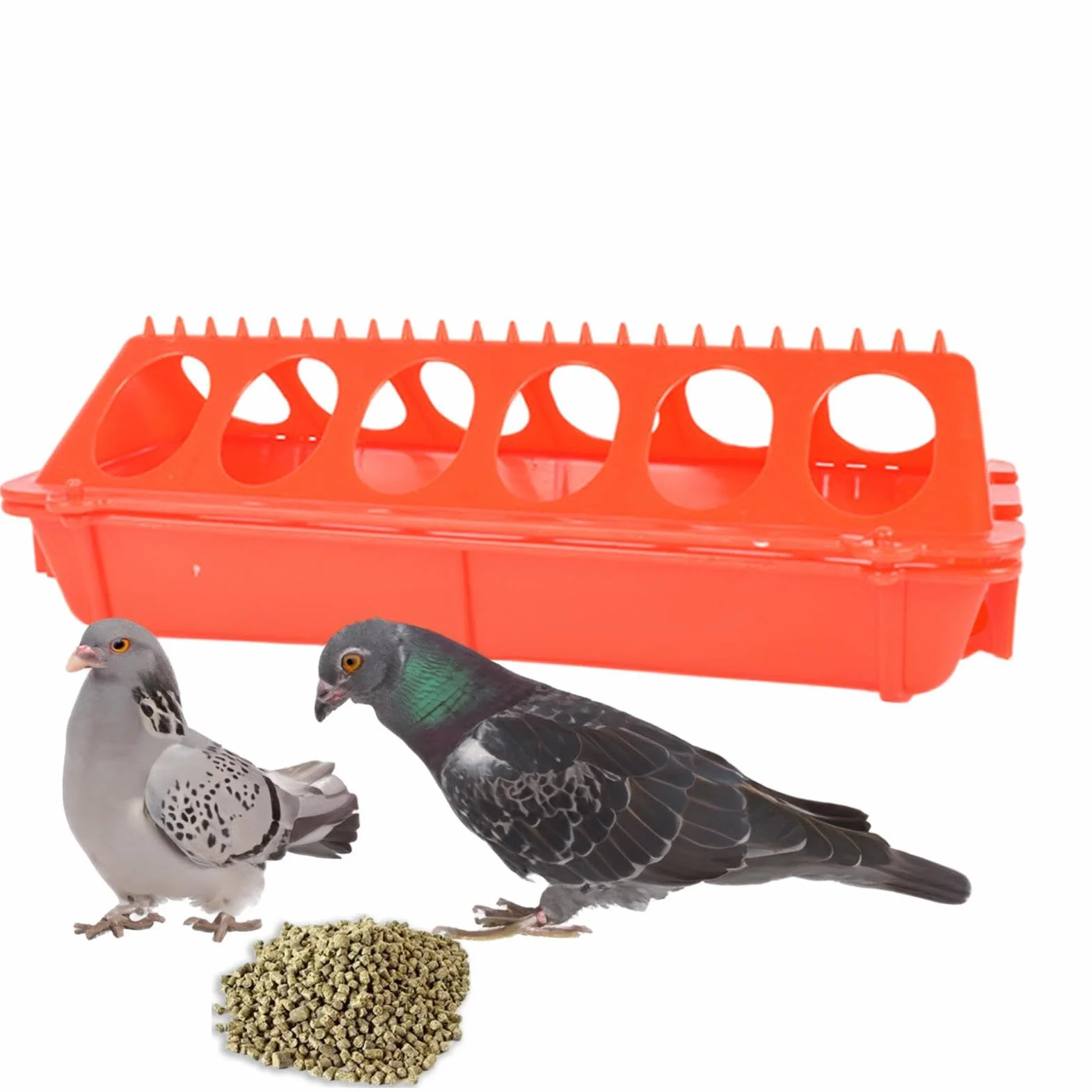 Mangeoire à volaille grande capacité pour poulet pigeon caille perroquet