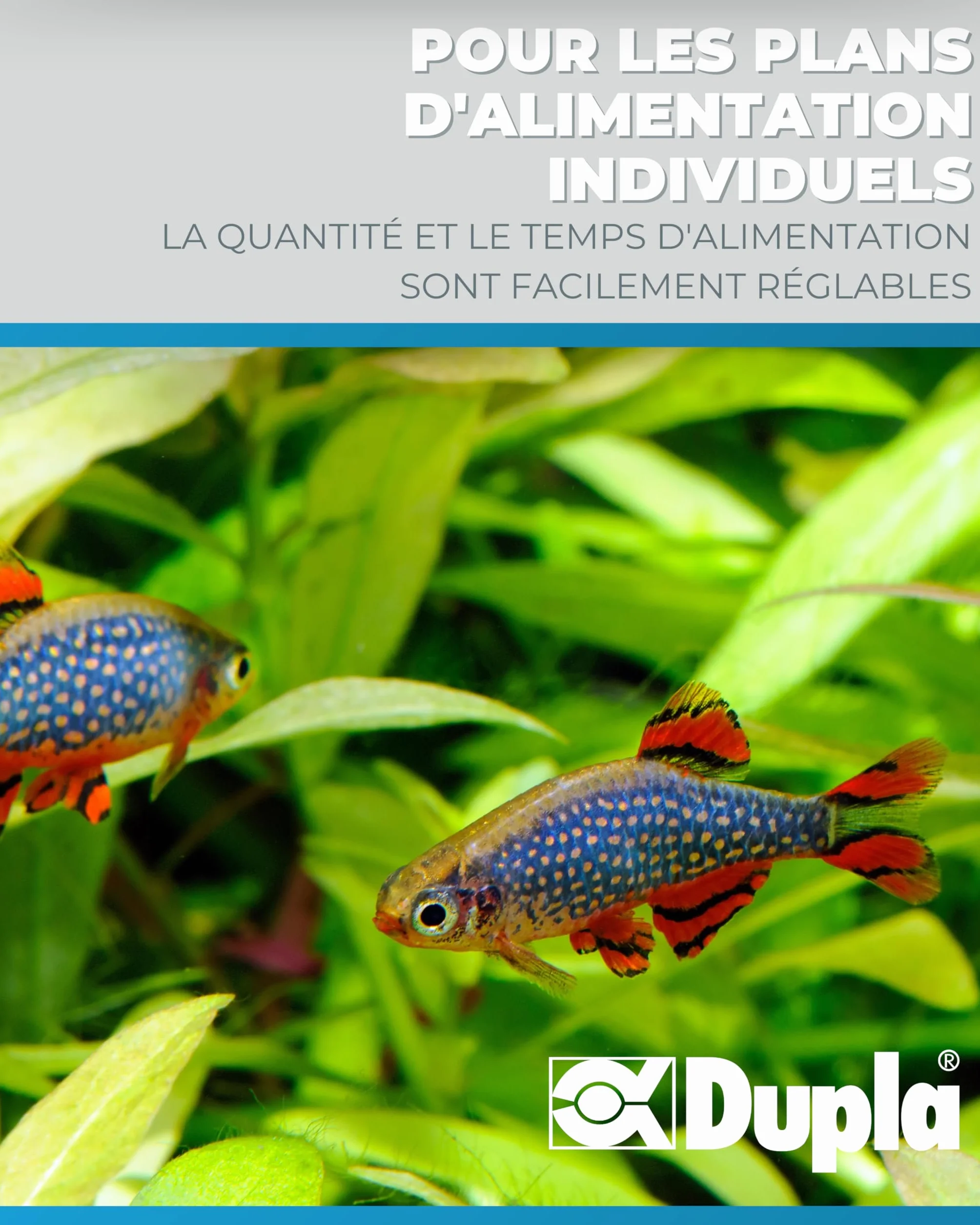 Dupla DuplaMatic