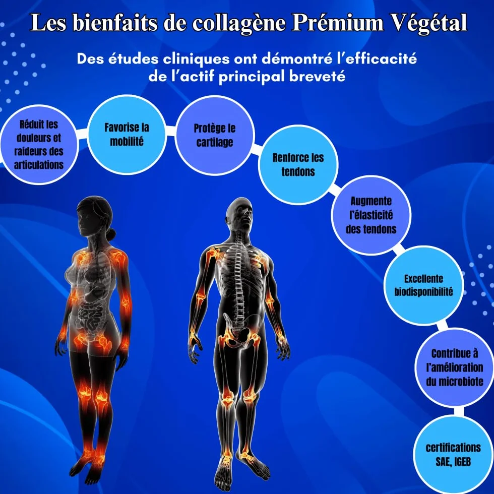 Collagène Premium Végétal Laboratoire Bermond pour les articulations