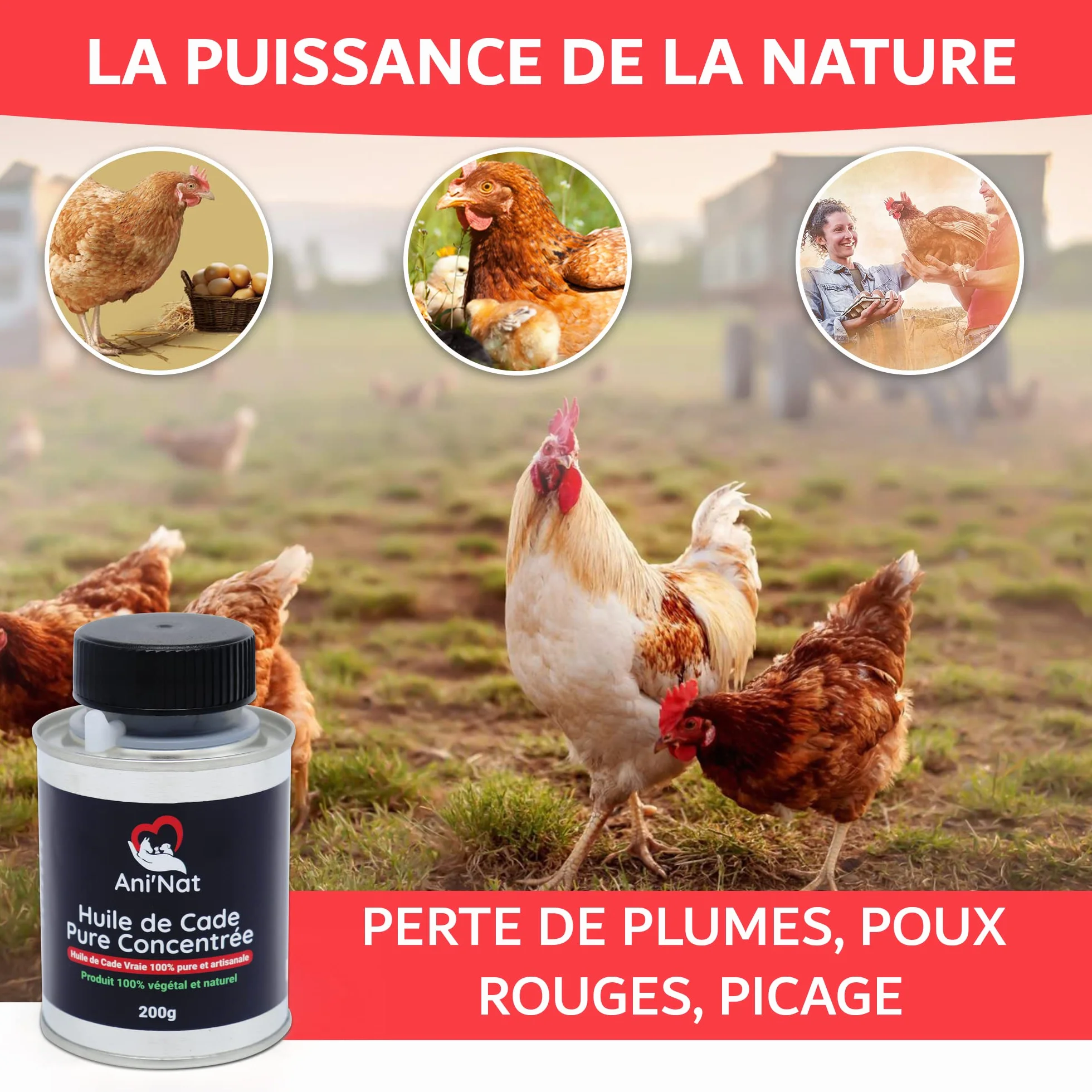 AniNat Huile de Cade Pure Concentrée 100% Naturelle - Soin Pattes Poules, Sabots Chevaux, Dermite - Pot 200g