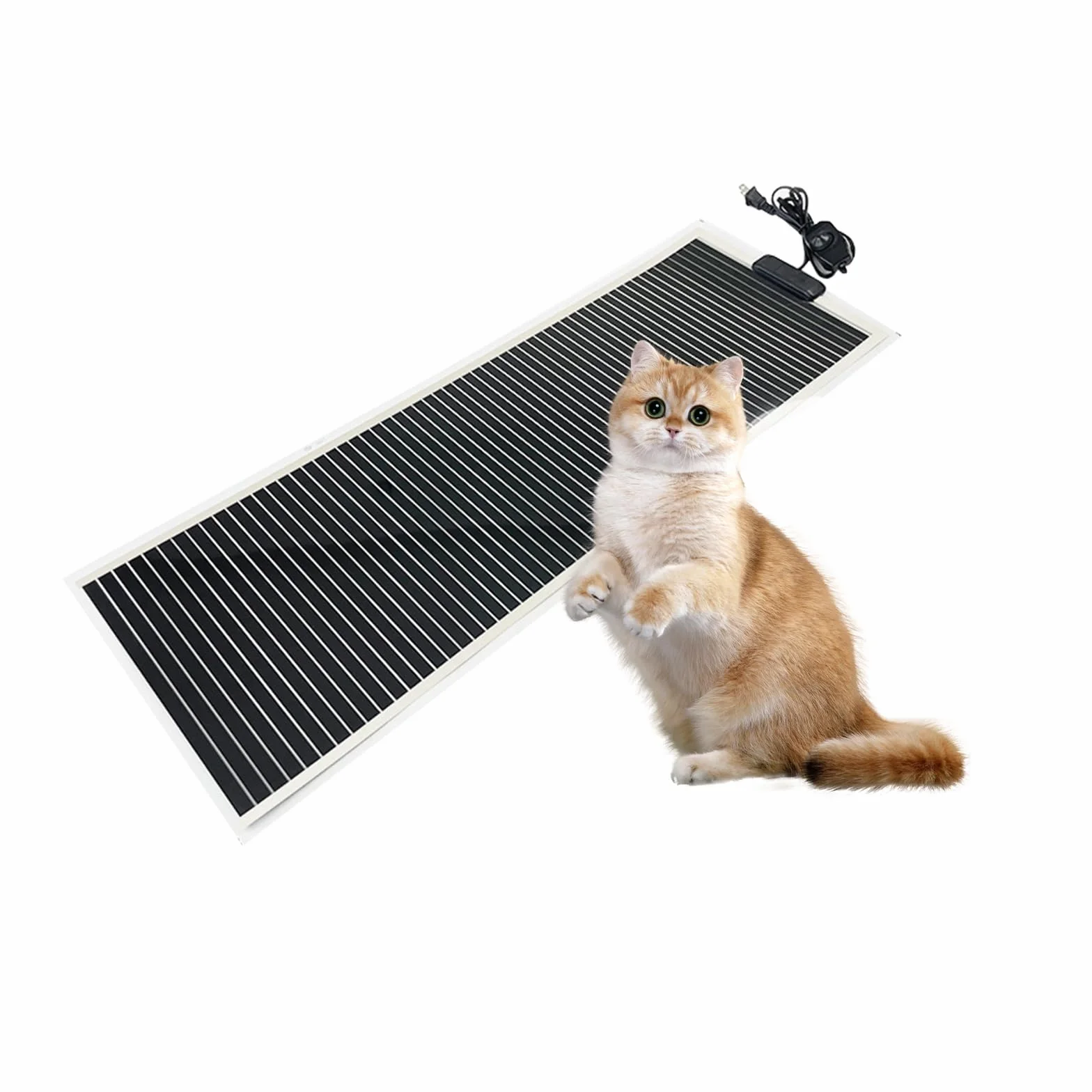 MENAYODA Tapis chauffant pour terrarium 80 cm x 28 cm 45 W température réglable reptiles
