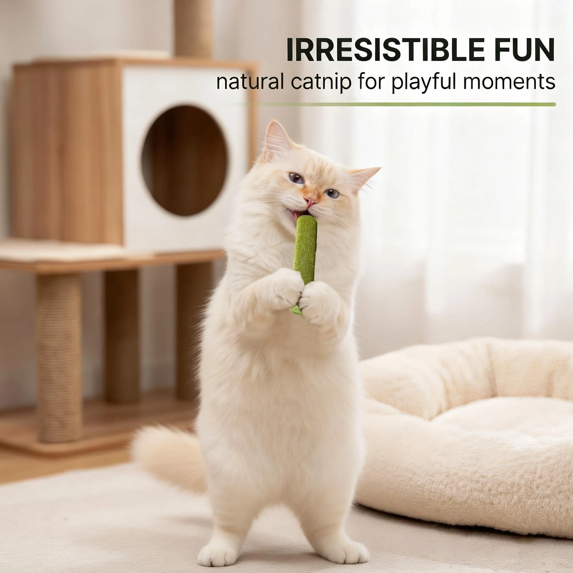 10 Pièces Bâton d'herbe à Chat, Bandes Bâton Chats de Dentition d'herbes à Mâcher Dentition lyophilisé Comestible pour Le Nettoyage des Dents et Élimination des Boules de Poils