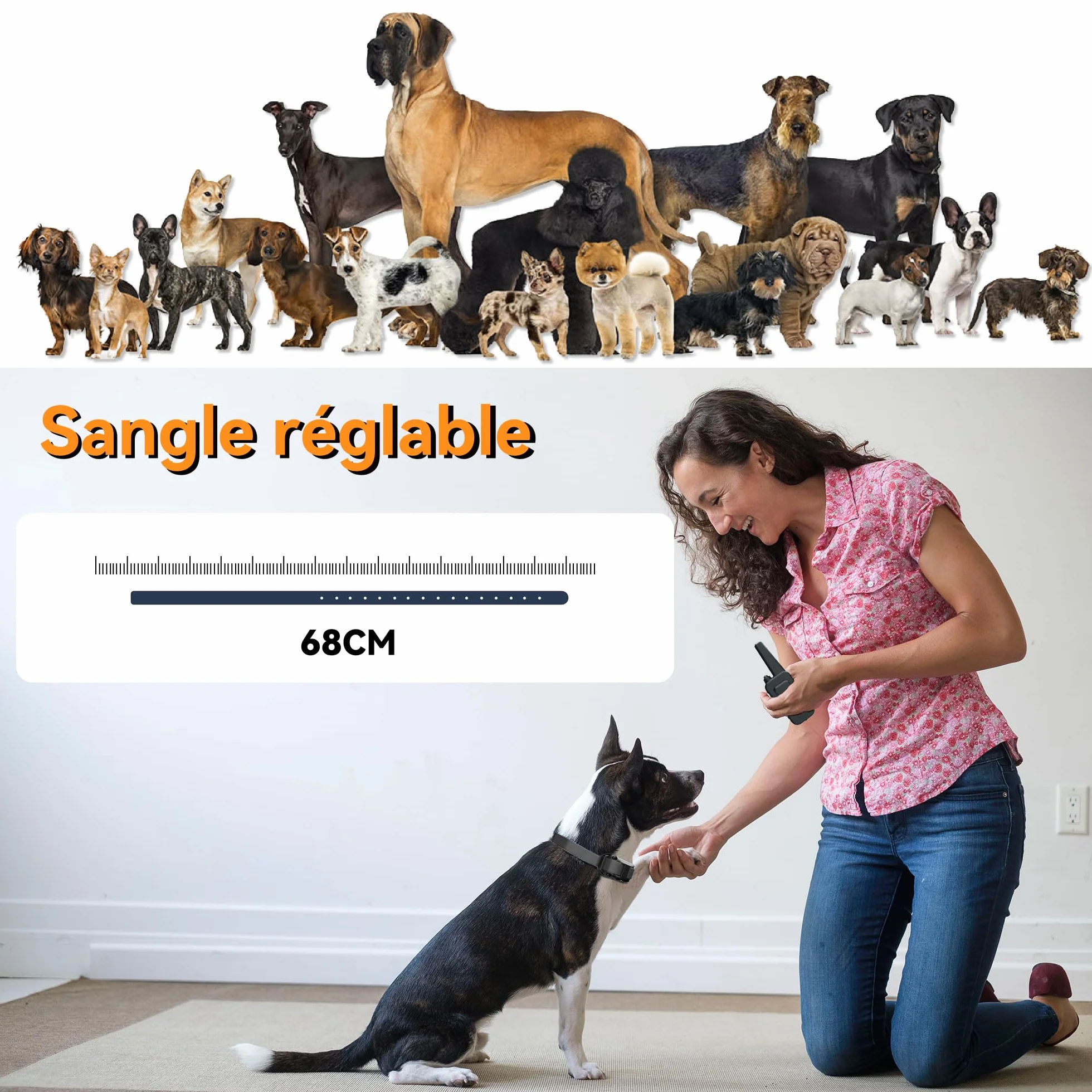 Collier de Dressage pour Chiens Rechargeable Meloive, Portée 3000m, Mode Vibration Son Choc Statique Lumière, IPX67 Résistant à l'Eau