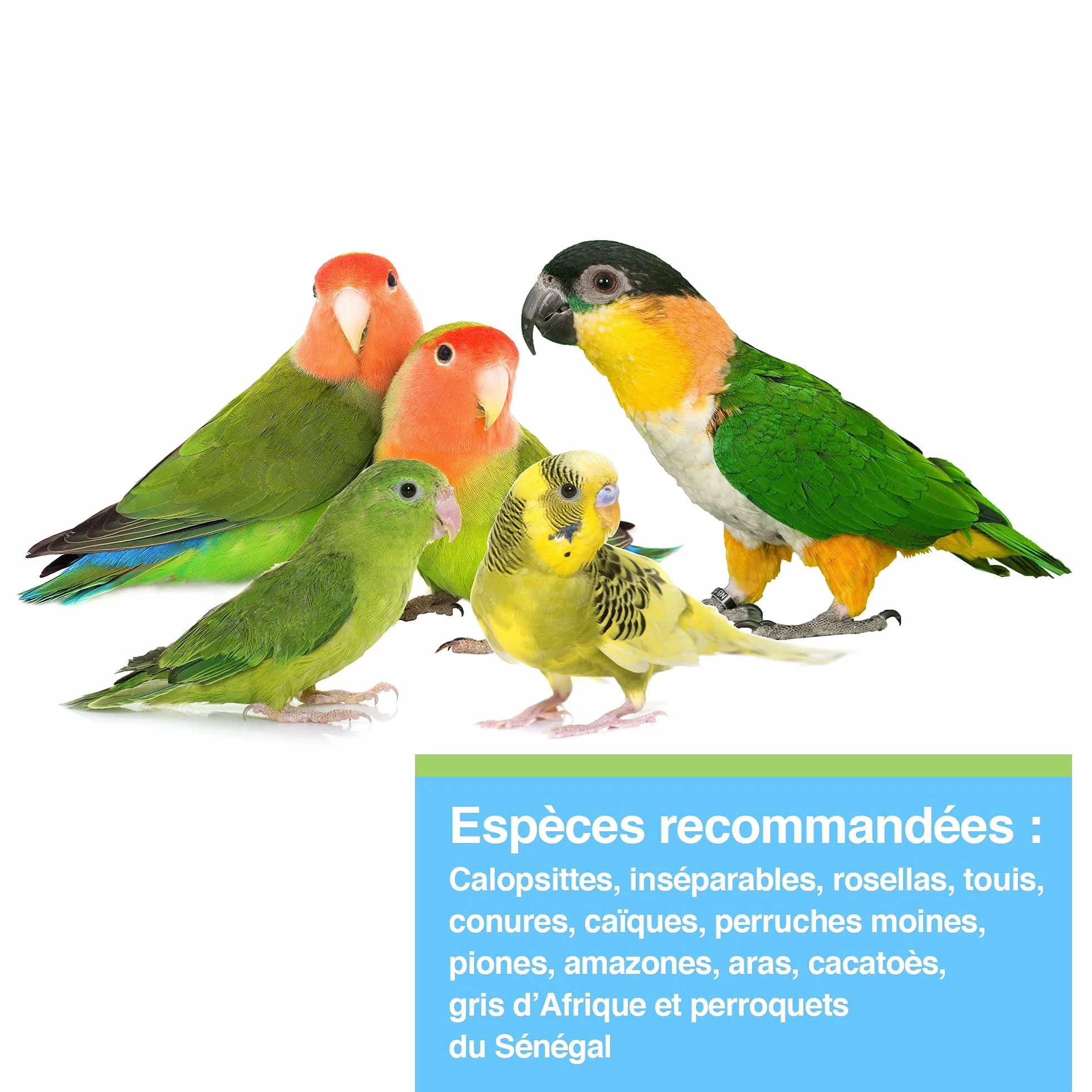 Tropican Parrot à vie Granulés pour Oiseaux 1,8 kg