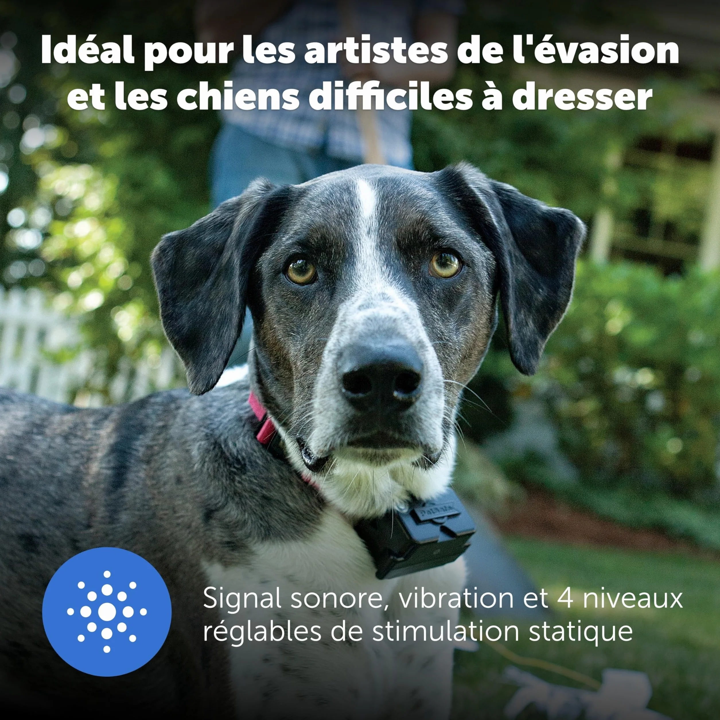 PetSafe Système de clôture enterré pour Chiens têtus Correction Statique Haute Intensité Modes Sonore Vibration Collier Ajustable Imperméable Design Évolutif