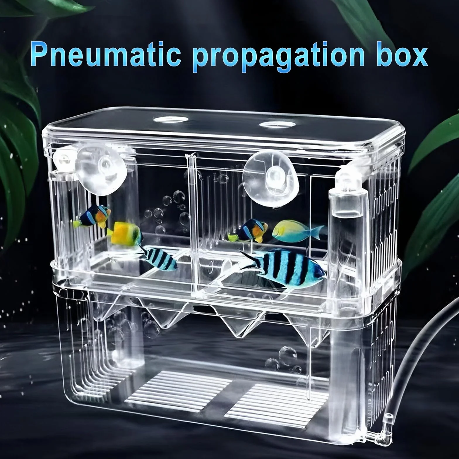 Guador Boîte d'Élevage Aquarium Isolation Incubateur Écloserie Piège Double Guppy Flottant XL
