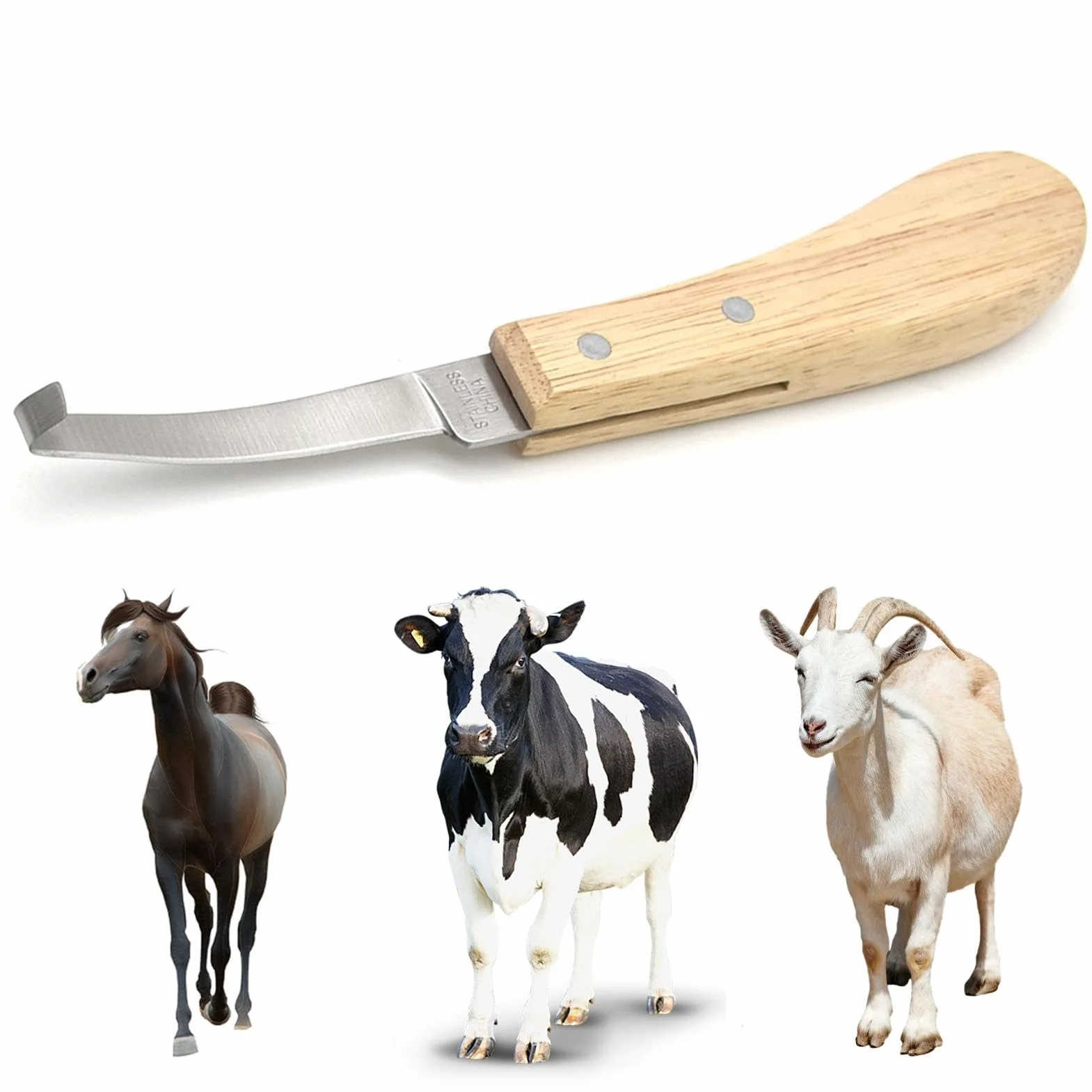Ciseaux à sabots de chèvre coupe-ongles acier inoxydable tondeuse à sabots manche en bois pour chevaux moutons chèvres vaches