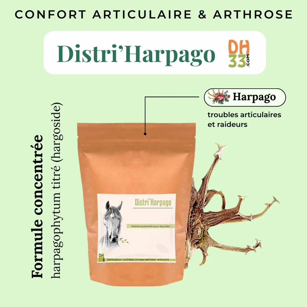 Harpago Cheval Confort Articulaire Arthrose 500 g