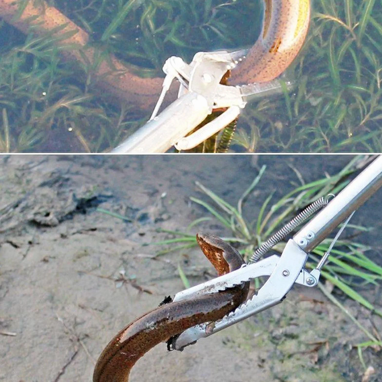 Morain Pince serpent pliable tête inclinée réglable manipulation reptiles outil conduite mer
