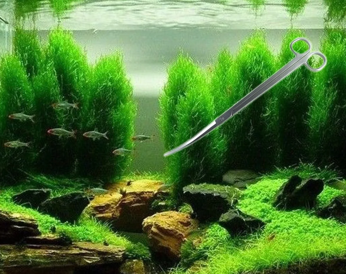 Générique Acier Inoxydable Aquarium Aquascaping Kit Pince à épiler Ciseaux Spatule 5 Outils