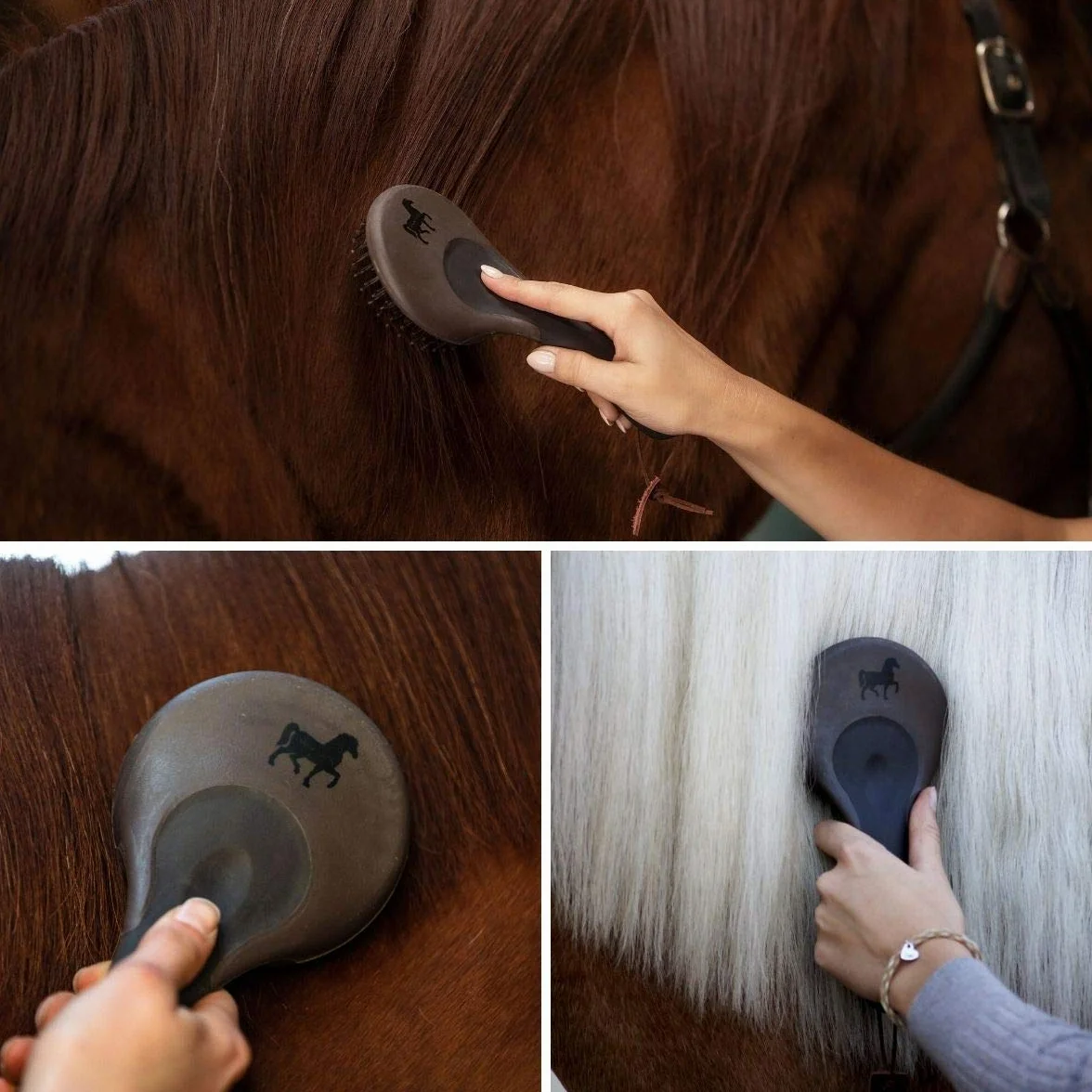 Animalon brosse pour crinière et queue de cheval peigne accessoires de soins