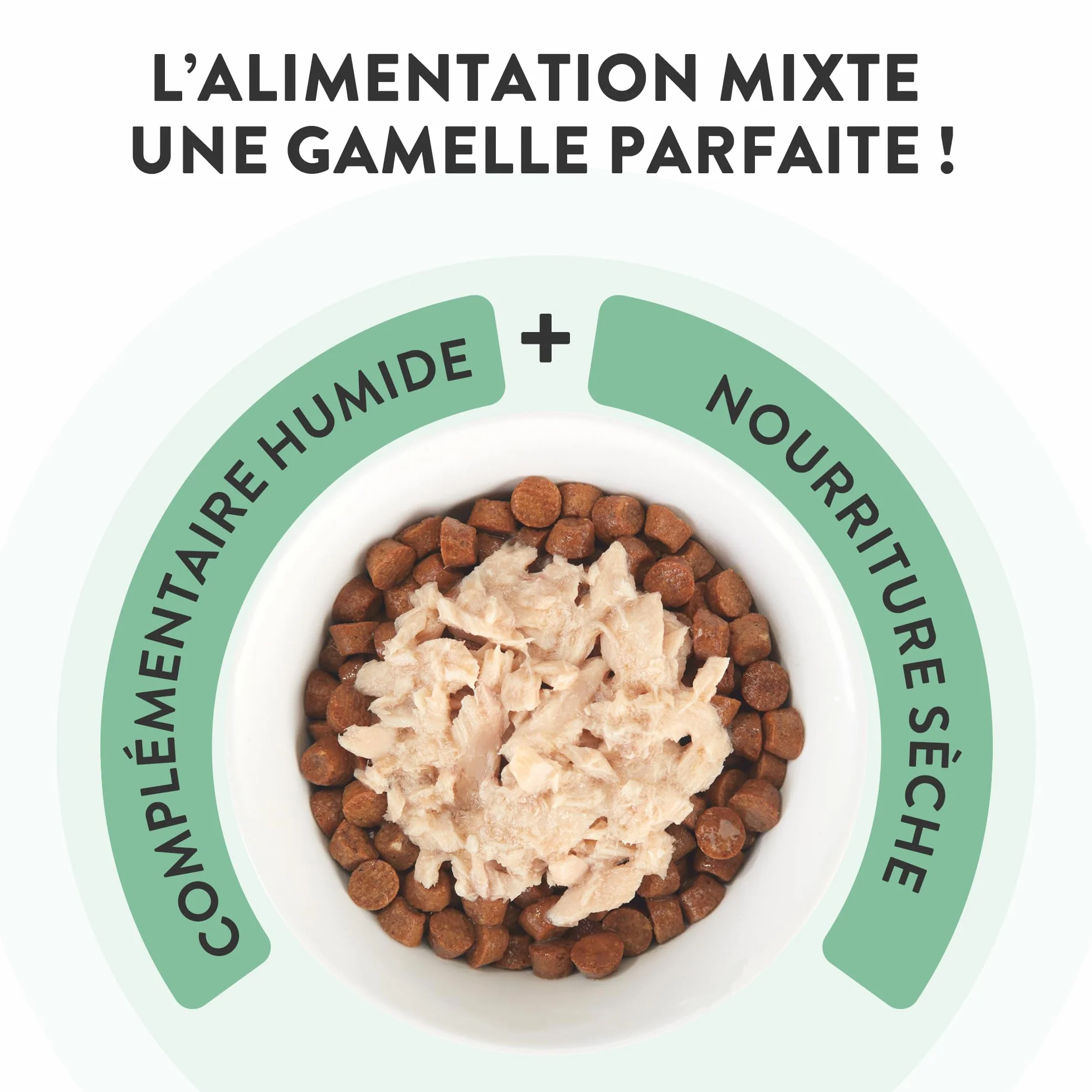 Schesir Filets de Thon et calmar Nourriture Humide pour Chats 12 sachets 40 g