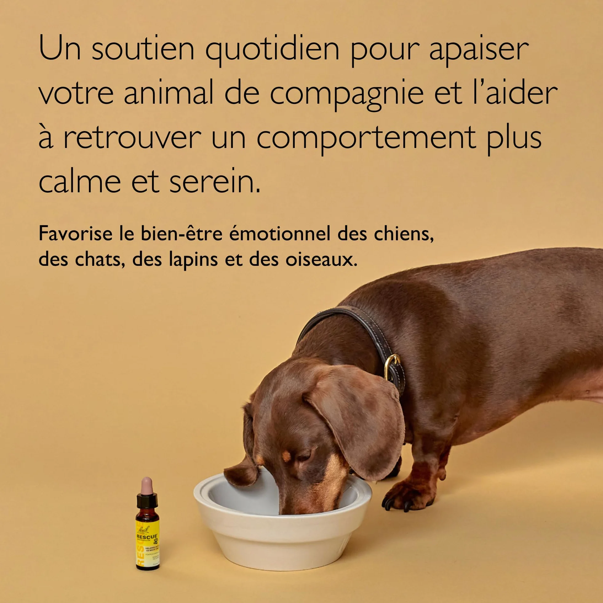 Rescue Pets Compte-Gouttes Complément Alimentaire Animaux 10ml Jaune