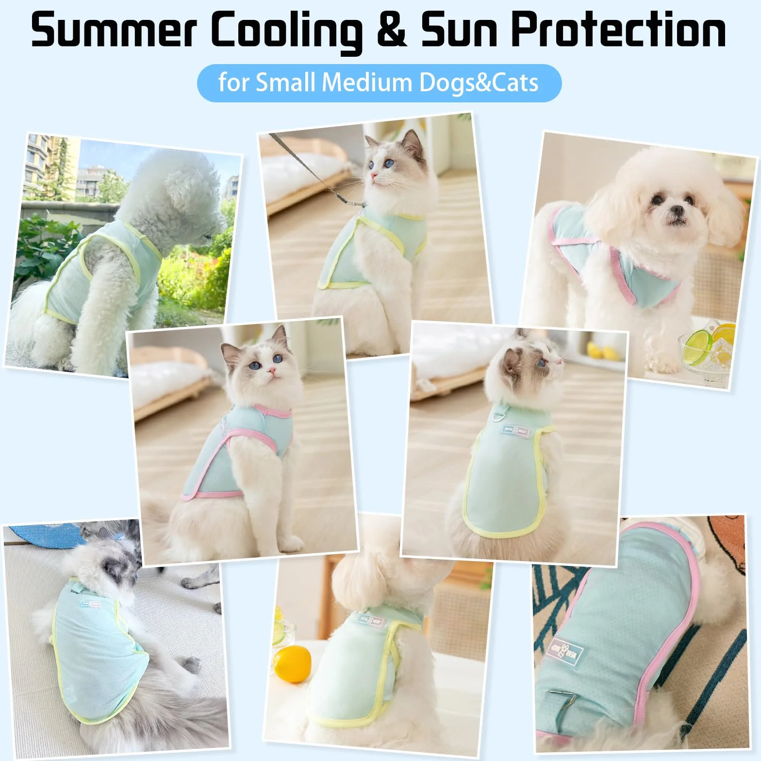Gilet Rafraîchissant pour Chien T-Shirt d'Été Respirant Séchage Rapide Bleu Taille M 2,5-4 kg