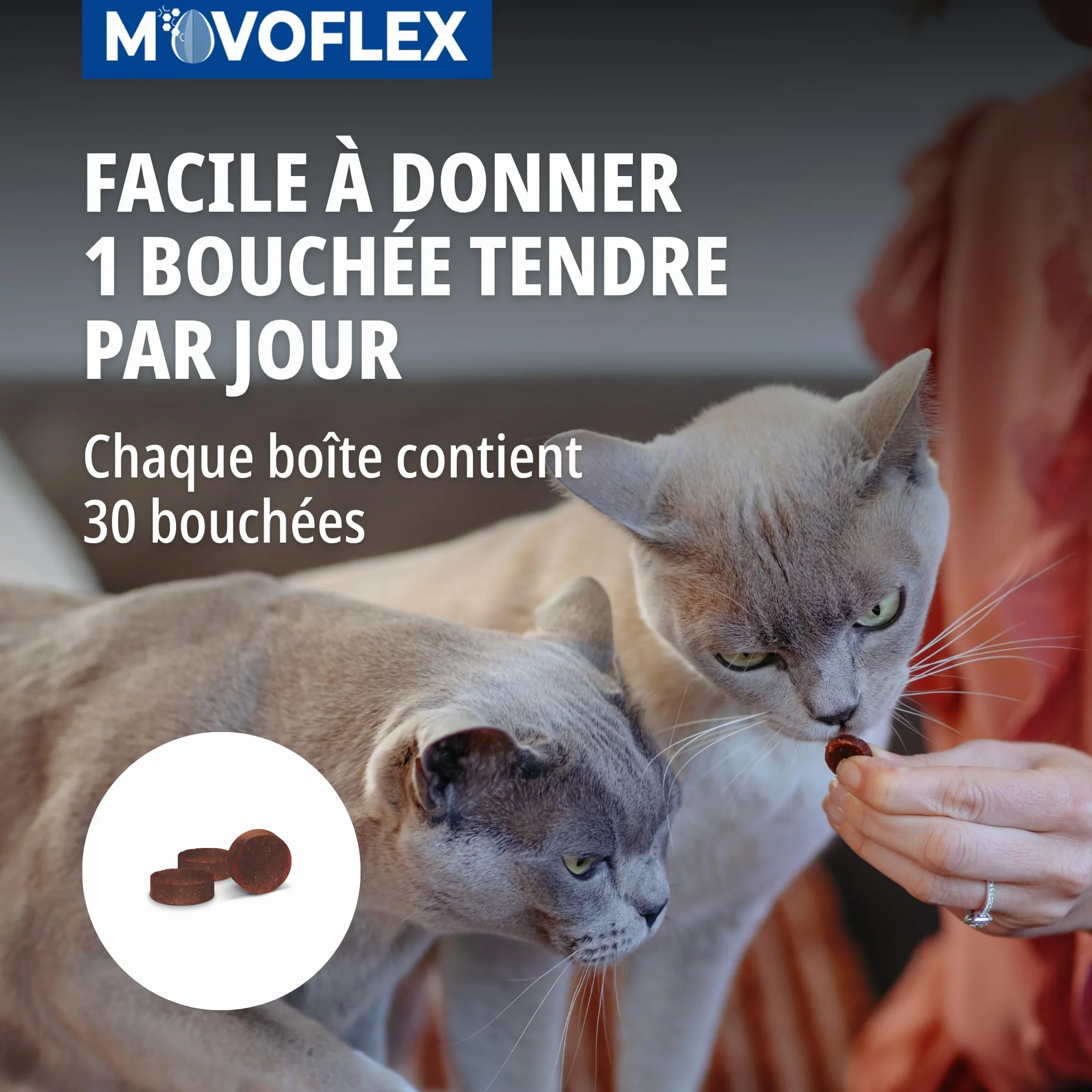 Virbac Movoflex Chat Aliment complémentaire Soutien articulations mobilité Boîte 30 bouchées