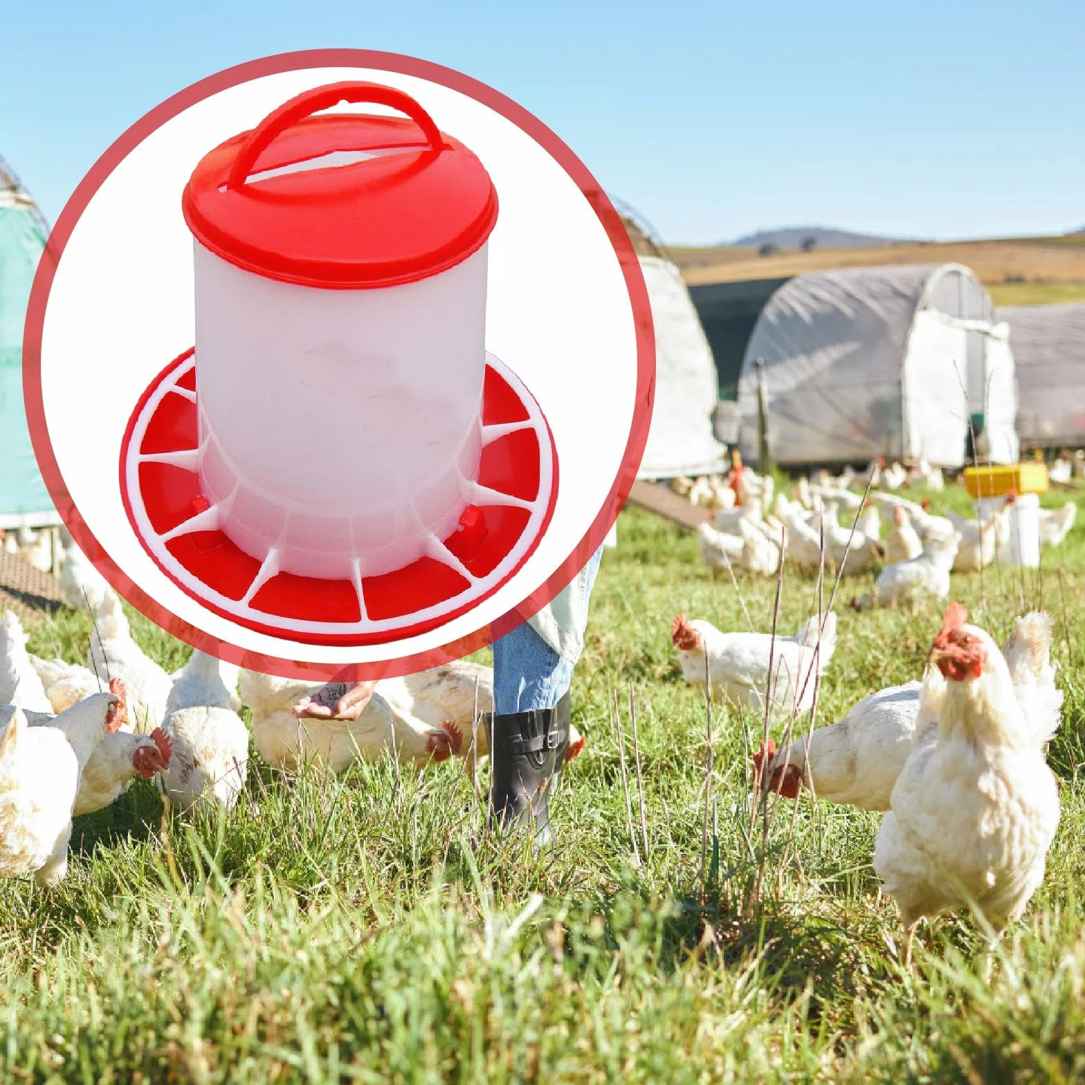 Mangeoire Suspendue pour Basse-Cour 3 kg, Distributeur Nourriture et Eau PP, Seau Alimentation Anti-Bactérienne pour Poules Canards