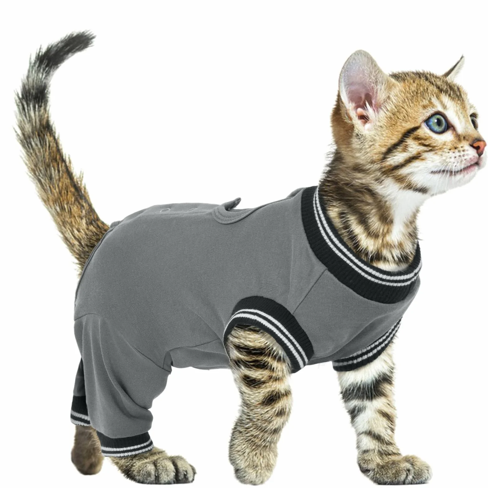 Combinaison Post-Opératoire Femelle Anti-Léchage pour Chat Gris Taille S
