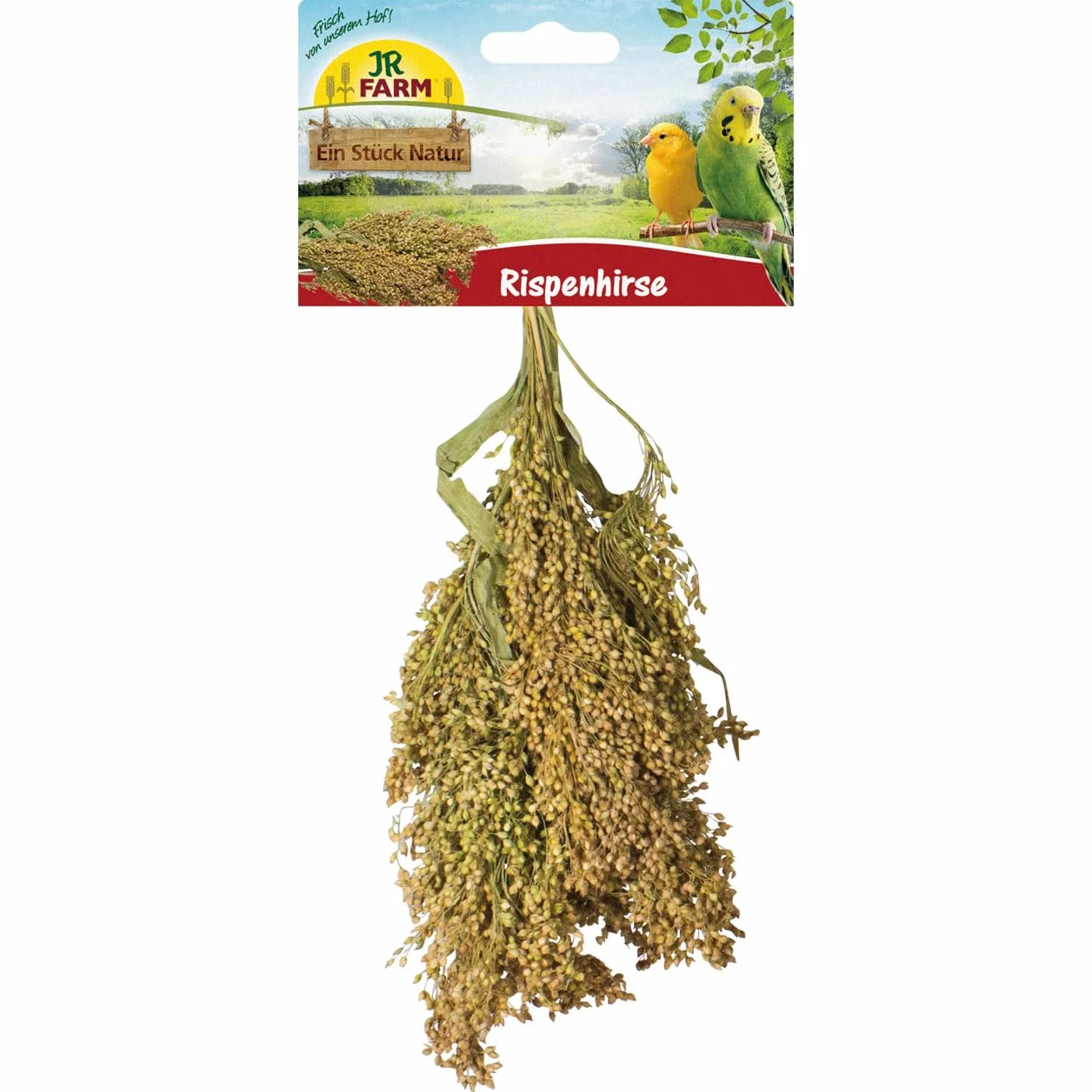 JR FARM Birds Millet panicule 100 g