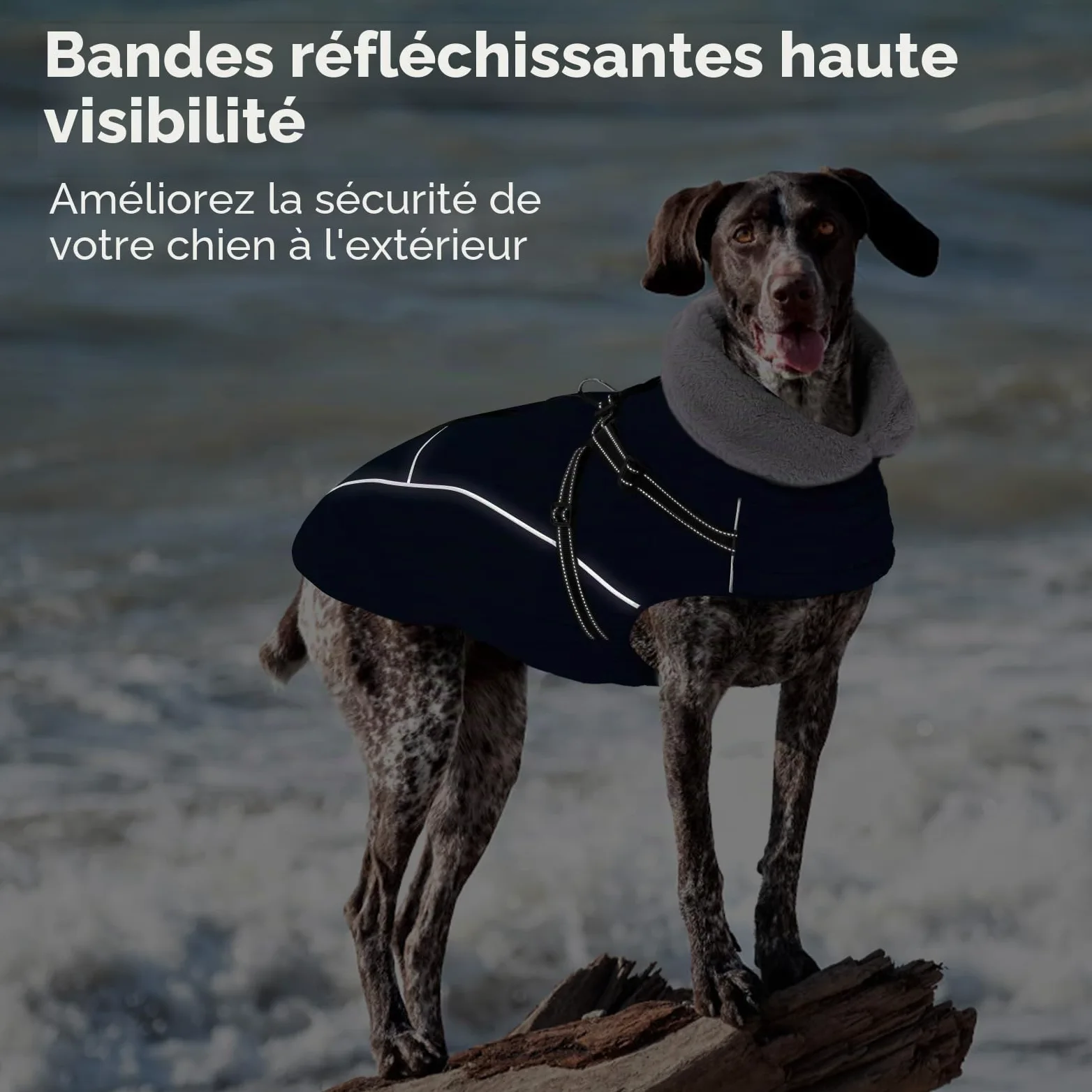 Manteau Chien Hiver avec Harnais, Manteaux Imperméables pour Chiens, Veste avec Harnais, Bouledogue Français/Cocker Spaniel/Lévrier