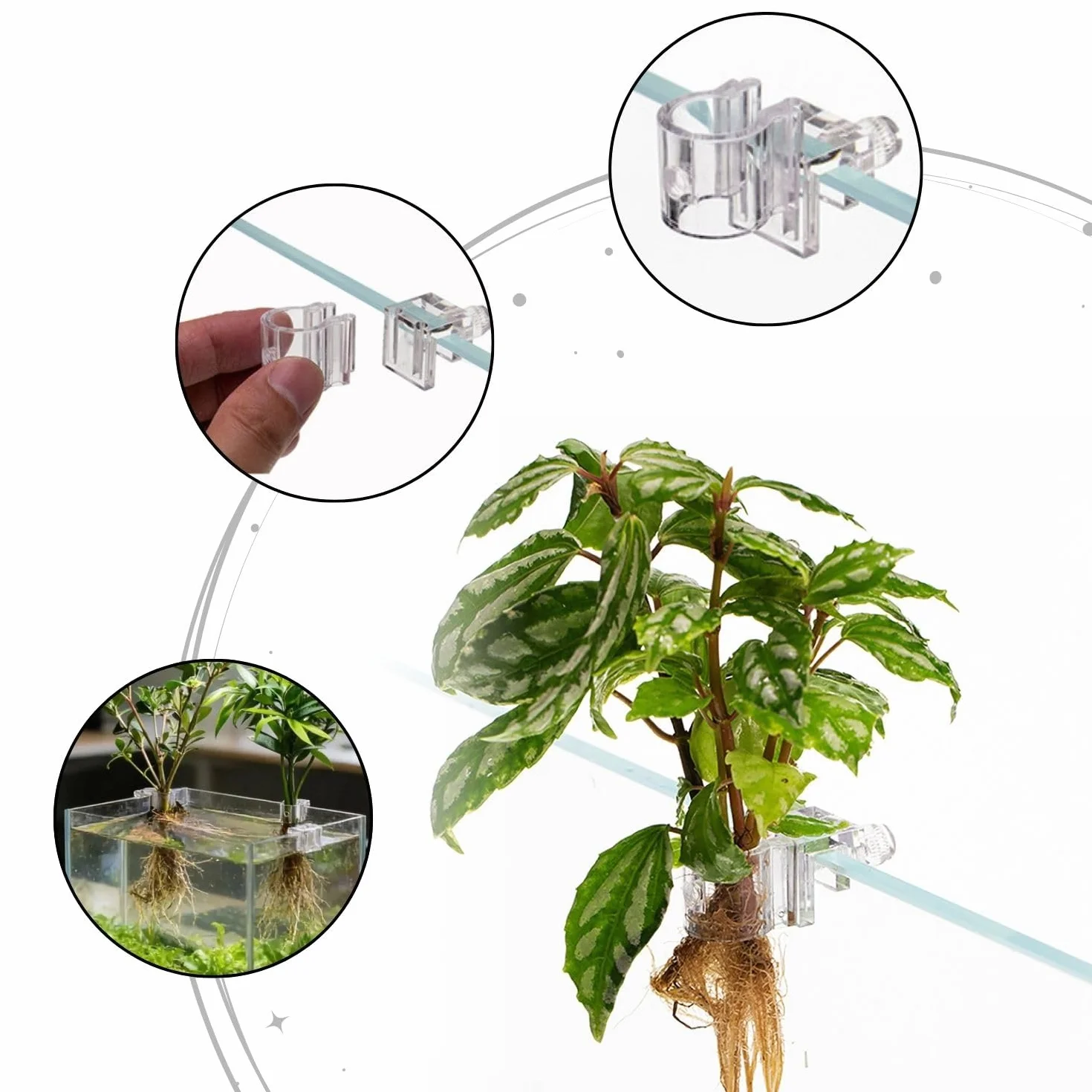 Supports pour plantes d'aquarium en acrylique - Lot de 6 clips réutilisables - Convient pour verre 0,39"-0,6"