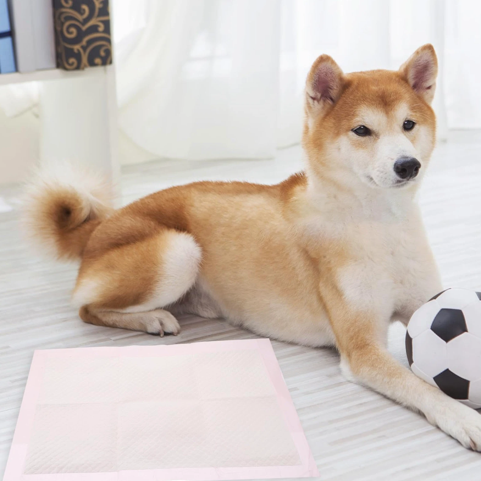 Générique 100 Pièces Tapis D'entraînement pour Animaux Ultra Absorbant | Non Tissé, Léger et Facile à Ranger, pour Chiot et Chien Âgé