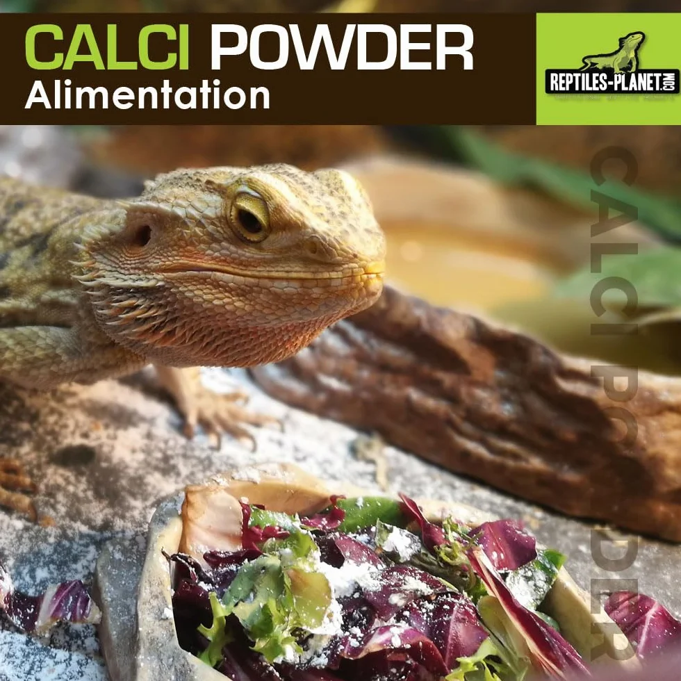 Reptiles Planet Calci Sepia Powder Os de Seiche en Poudre pour Reptiles 100 g