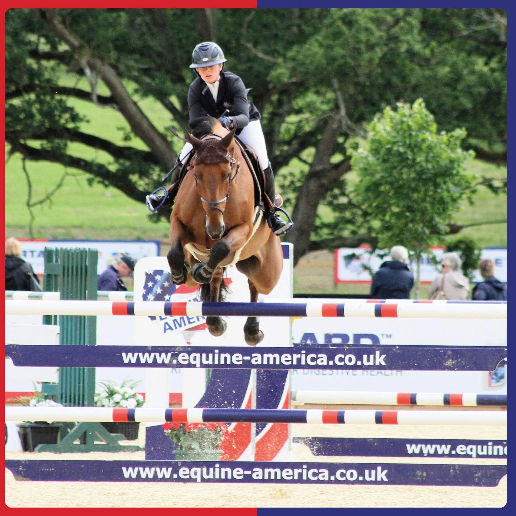 Equine America Complément Alimentaire pour Cheval Solution Airways 500 ML