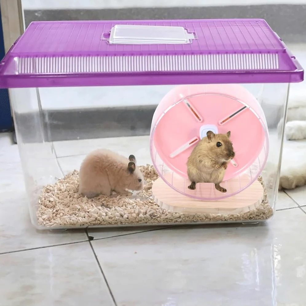 Roue de Course silencieuse pour Hamster, Ours doré, Tapis Roulant, Balle de Course avec Support, Fournitures de Petits Jouets pour Animaux de Compagnie