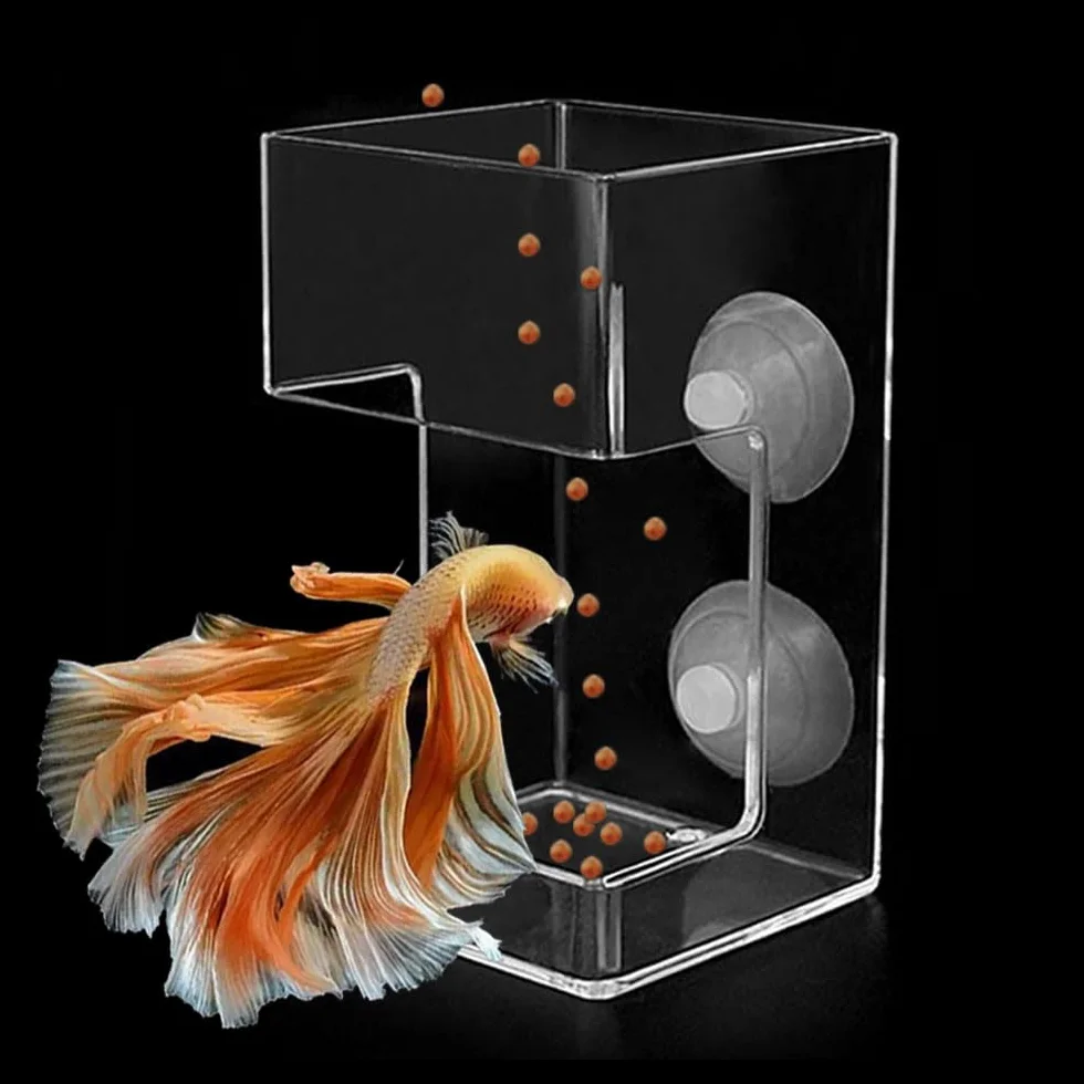 Distributeur Nourriture Poisson Anneau Carré Transparent Aquarium Accessoire Anti-Flottement