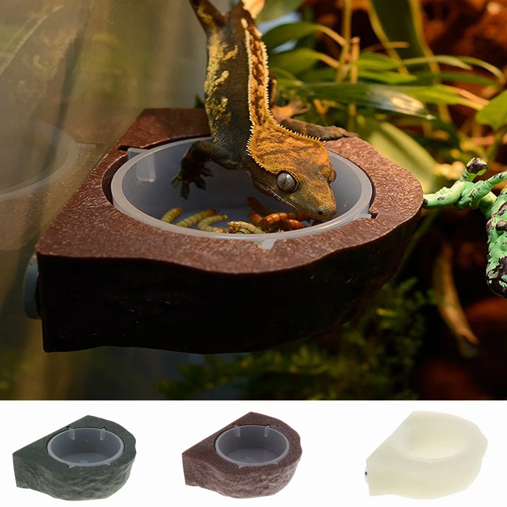 Mini mangeoire magnétique pour gecko, nourriture ou eau Vert