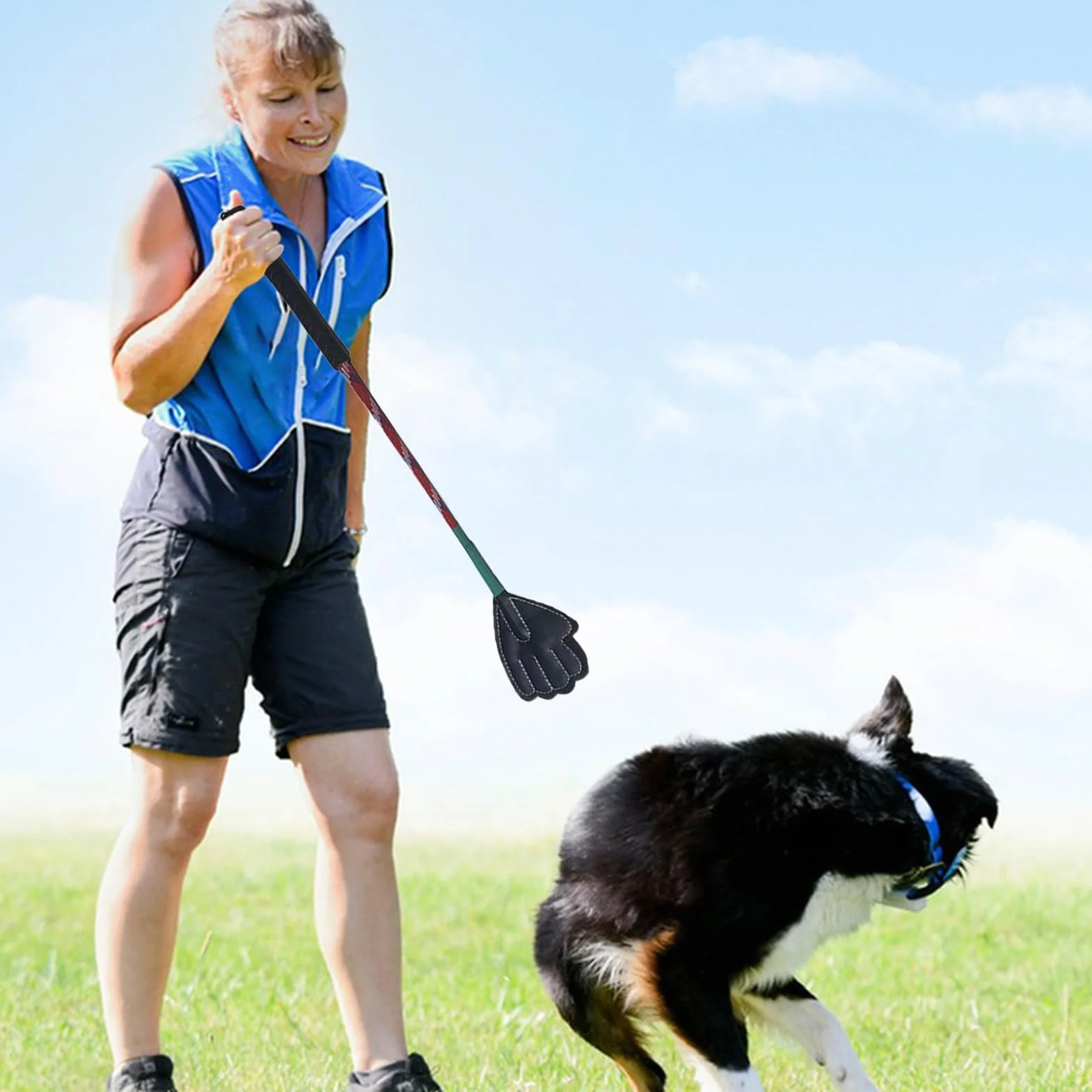 Bâton de dressage pour animaux de compagnie, portable pour chiots, multifonctionnel