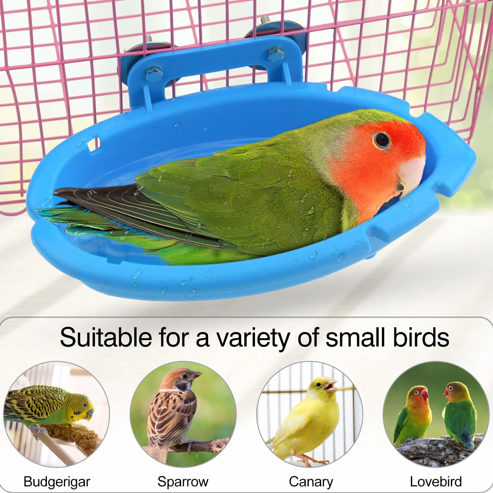 Baignoire Oiseaux Suspendue pour Perruche Canaris Cage Bains d'oiseaux Petits Perroquets (Bleu)