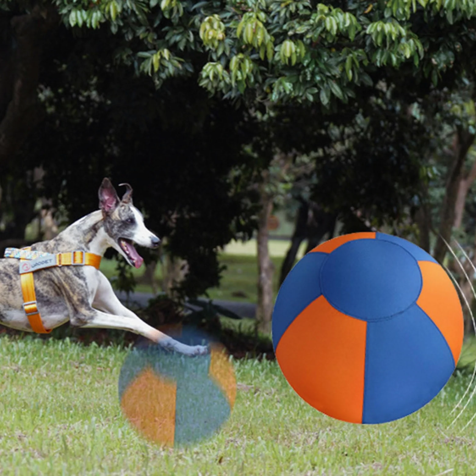ordinarYone Balle gonflable durable pour chiens avec fermeture éclair pour un gonflage rapide et un jeu pour l'entraînement et les masticateurs agressifs