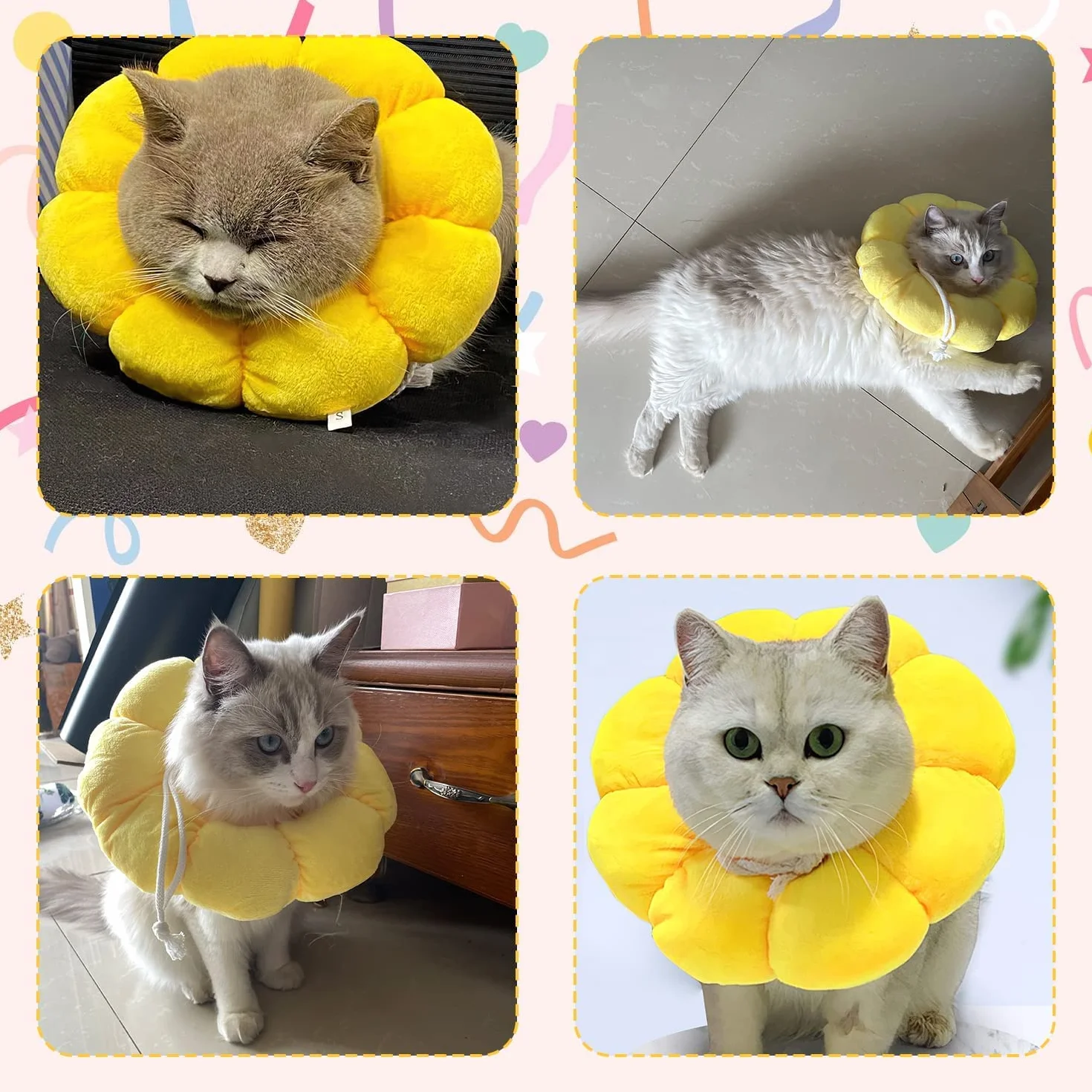Collerette Réglable pour Chat et Petit Chien Après Opération, Taille L