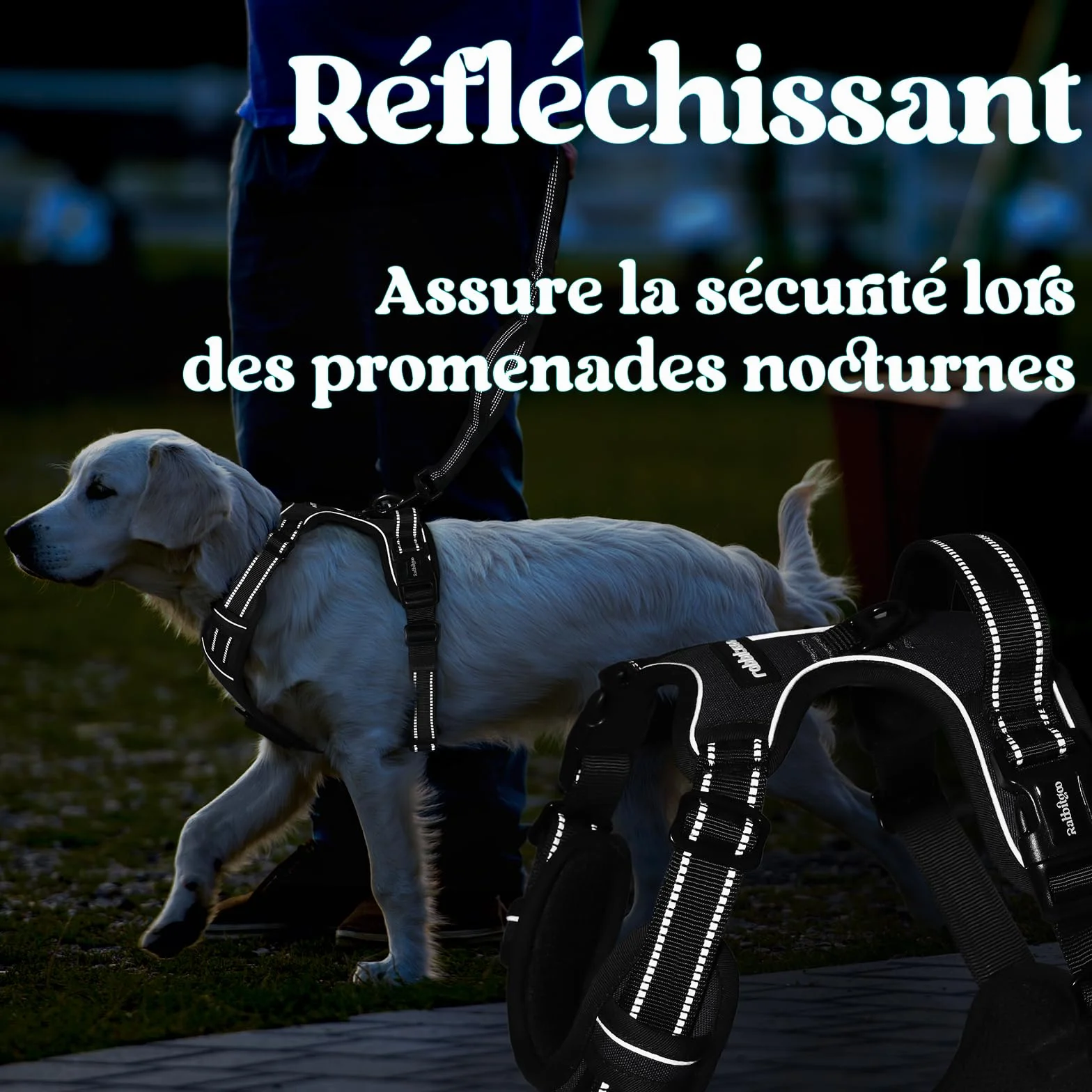 Rabbitgoo Harnais Chien Anti Traction 3 Boucles Réglable Réfléchissant Noir L