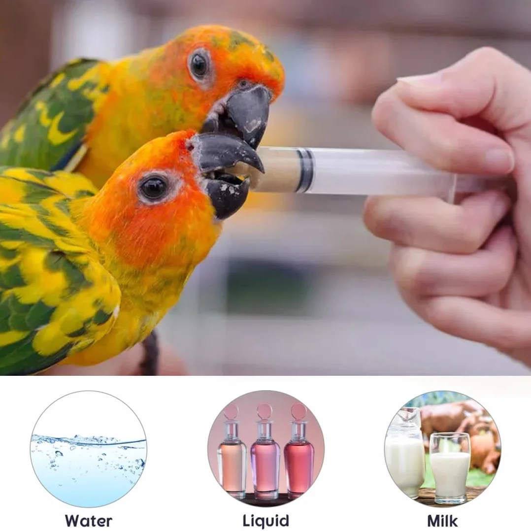 Seringues Alimentaires 10ml avec Tubes de Gavage pour Oiseaux Pigeons Perroquets